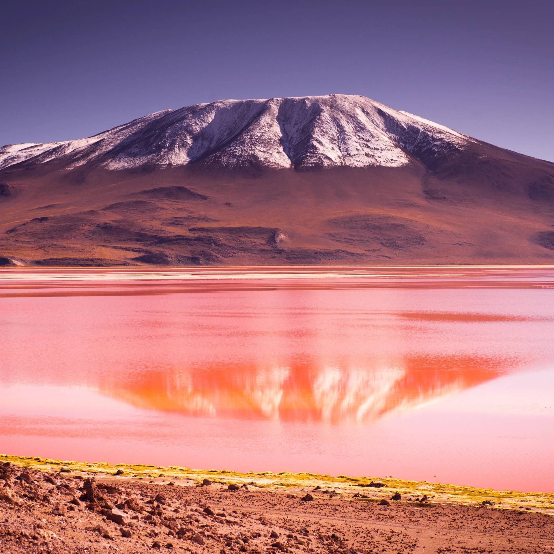 Avventura 4x4 in Bolivia: lagune e deserto di Siloli