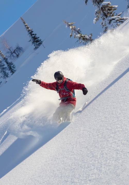 persona su snowboard