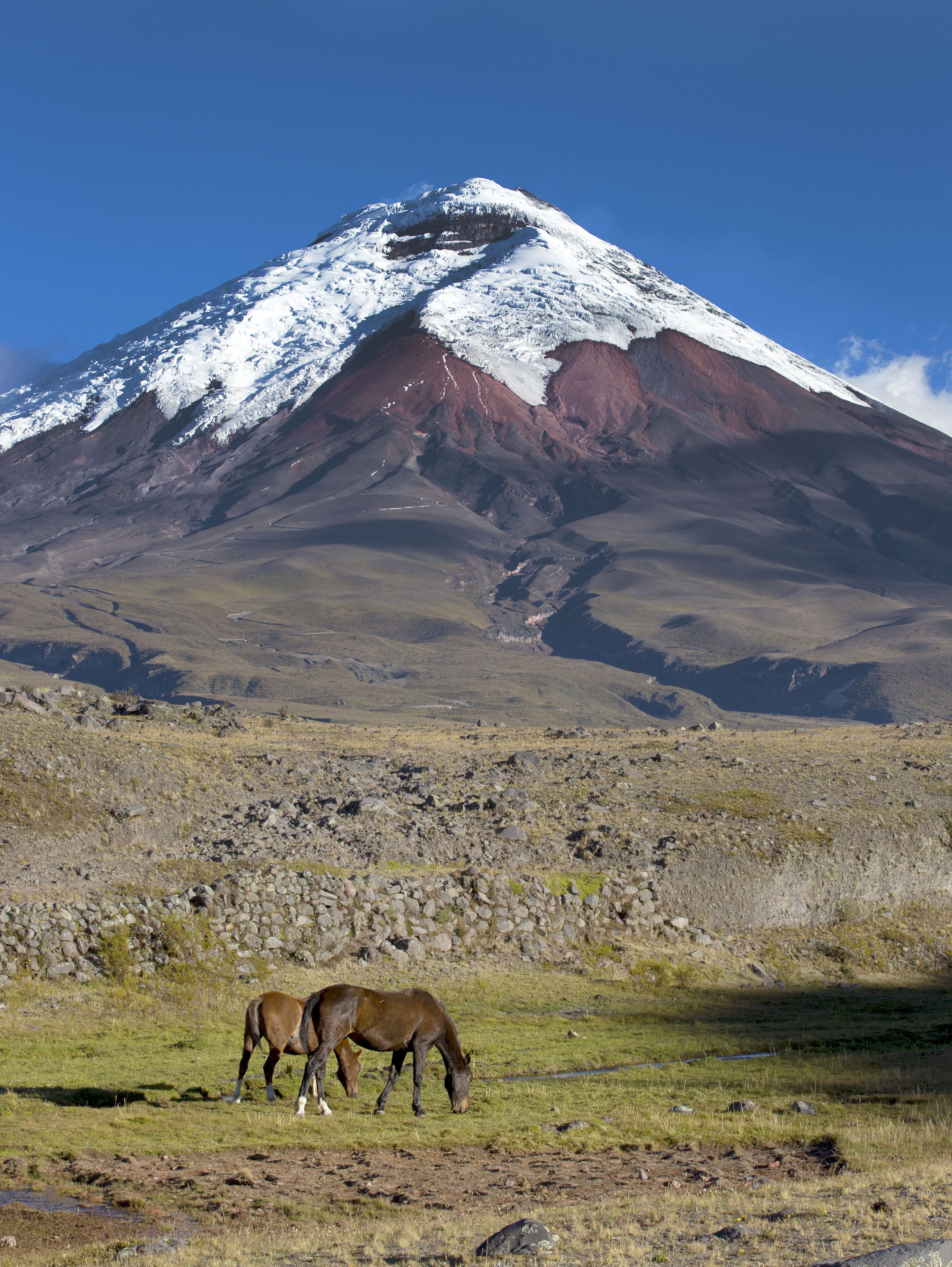 cotopaxi