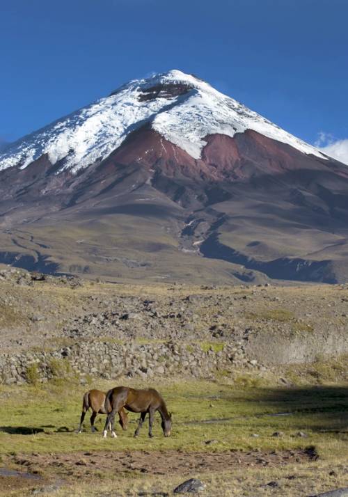cotopaxi