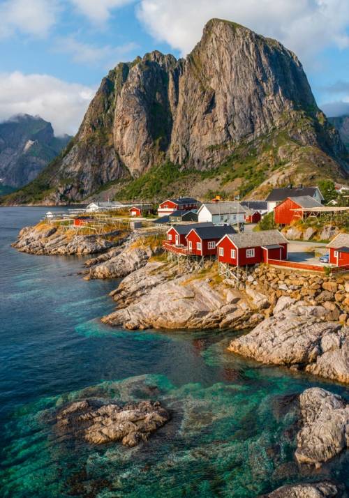 reine
