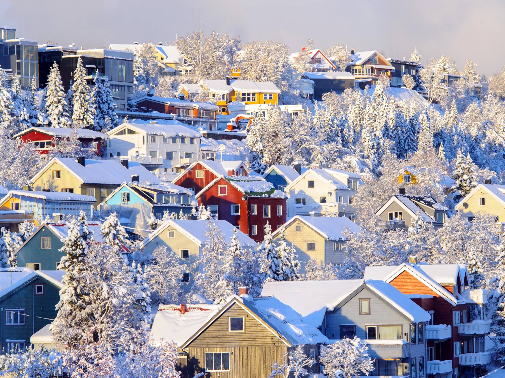 Tromsø e le meraviglie dell’Artico cover