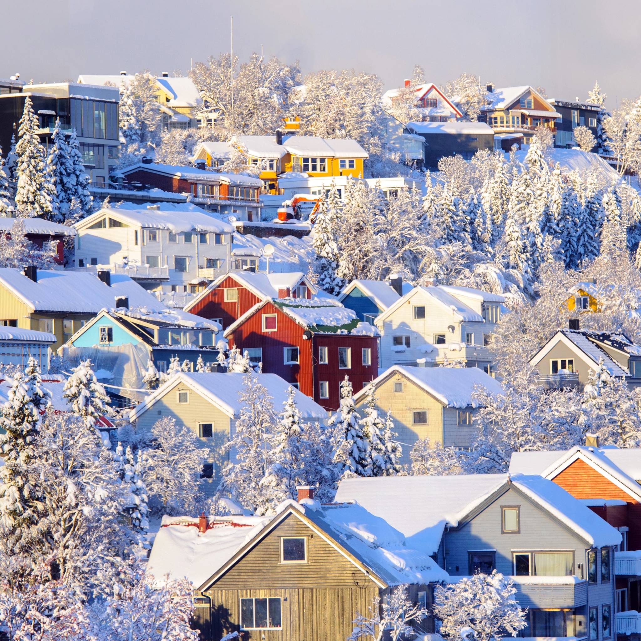 Tromsø e le meraviglie dell’Artico