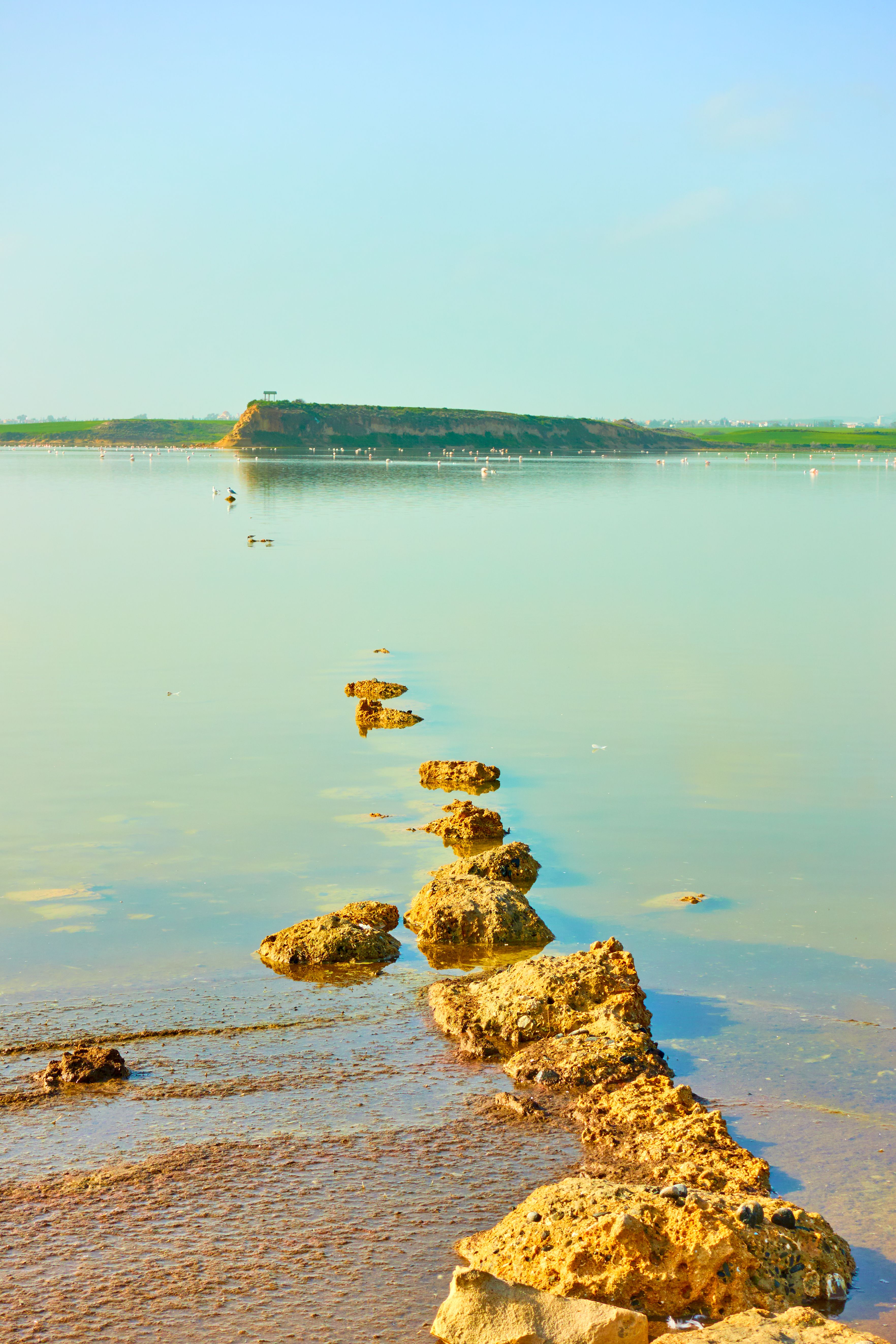lago di larnaca cipro