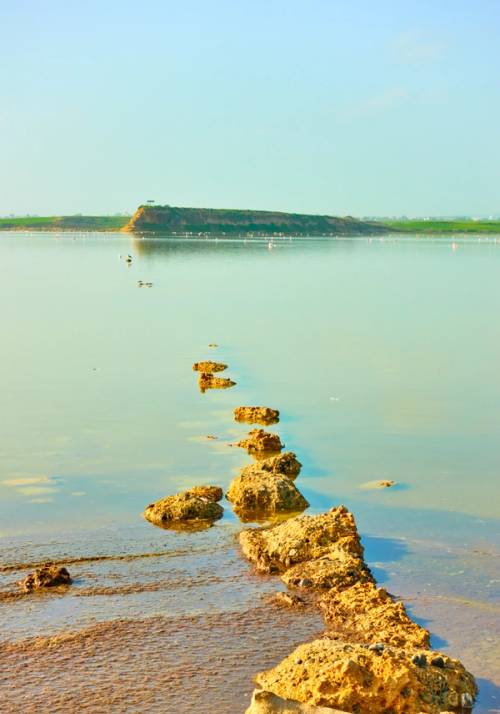 lago di larnaca cipro