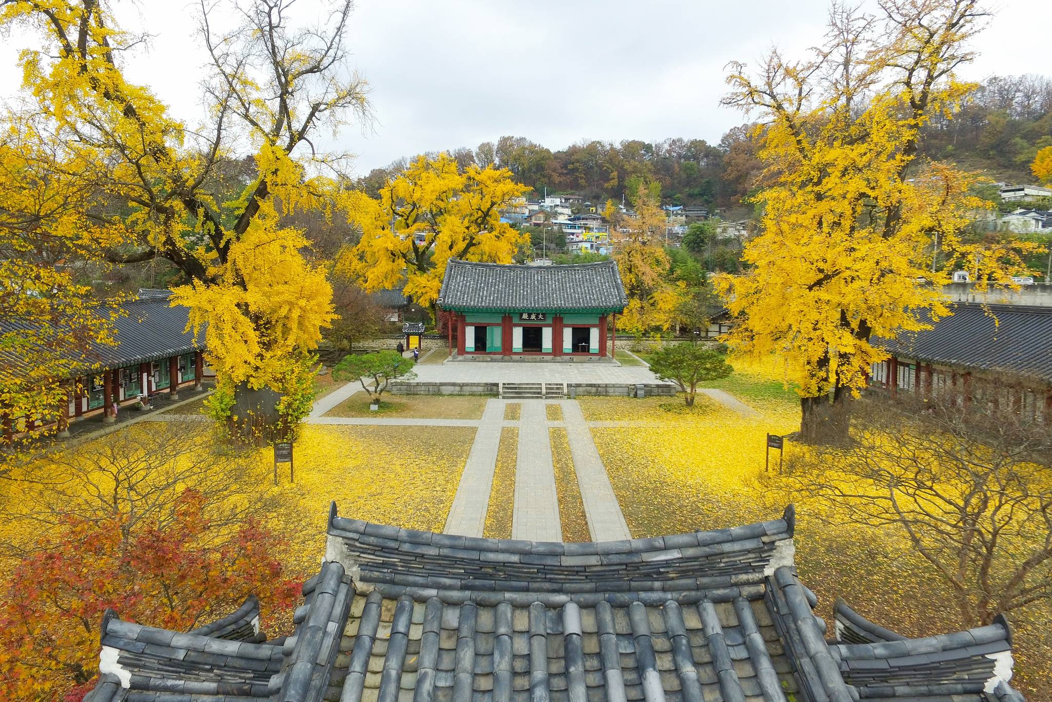 JEONJU