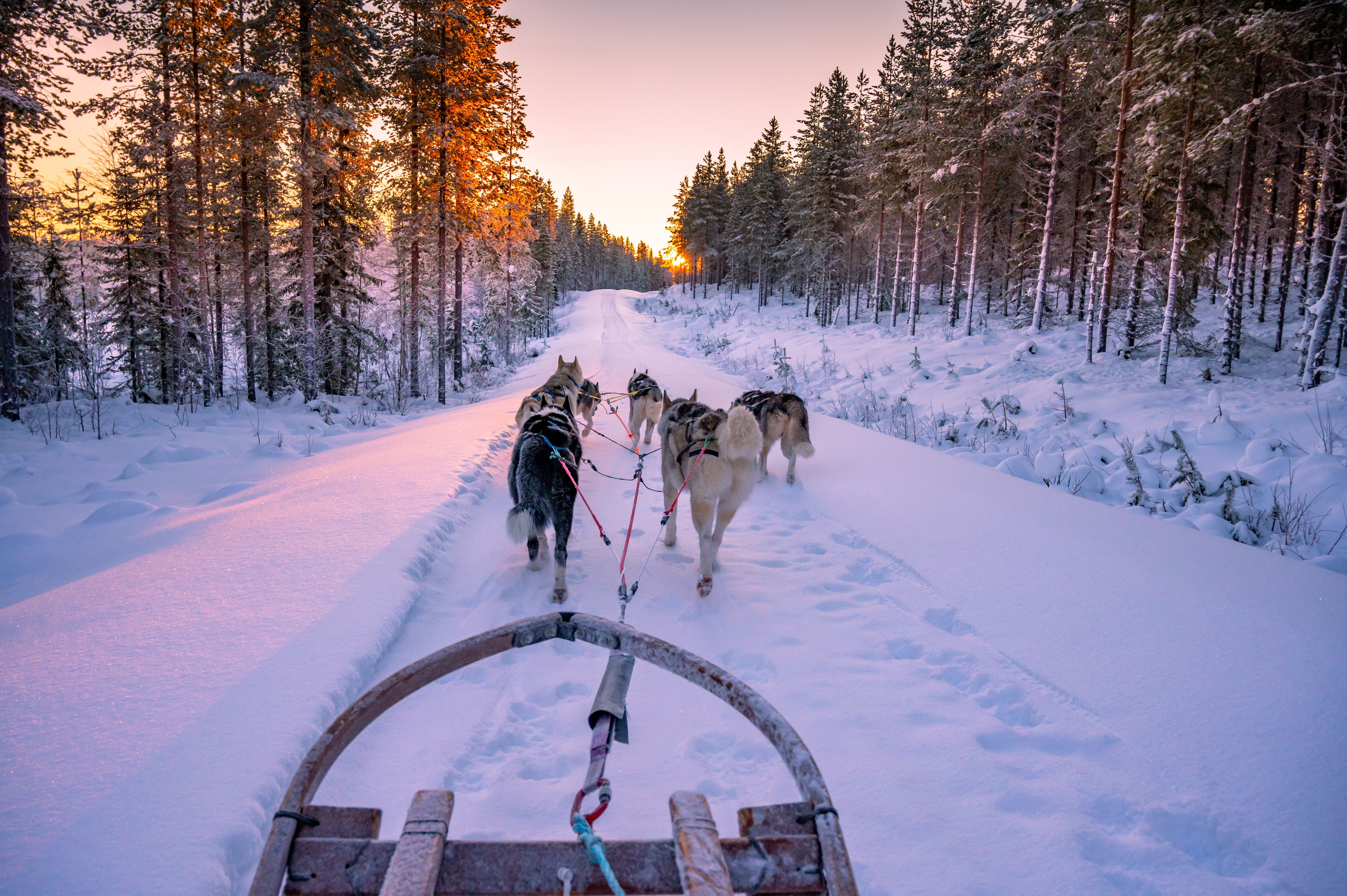 husky finlandia