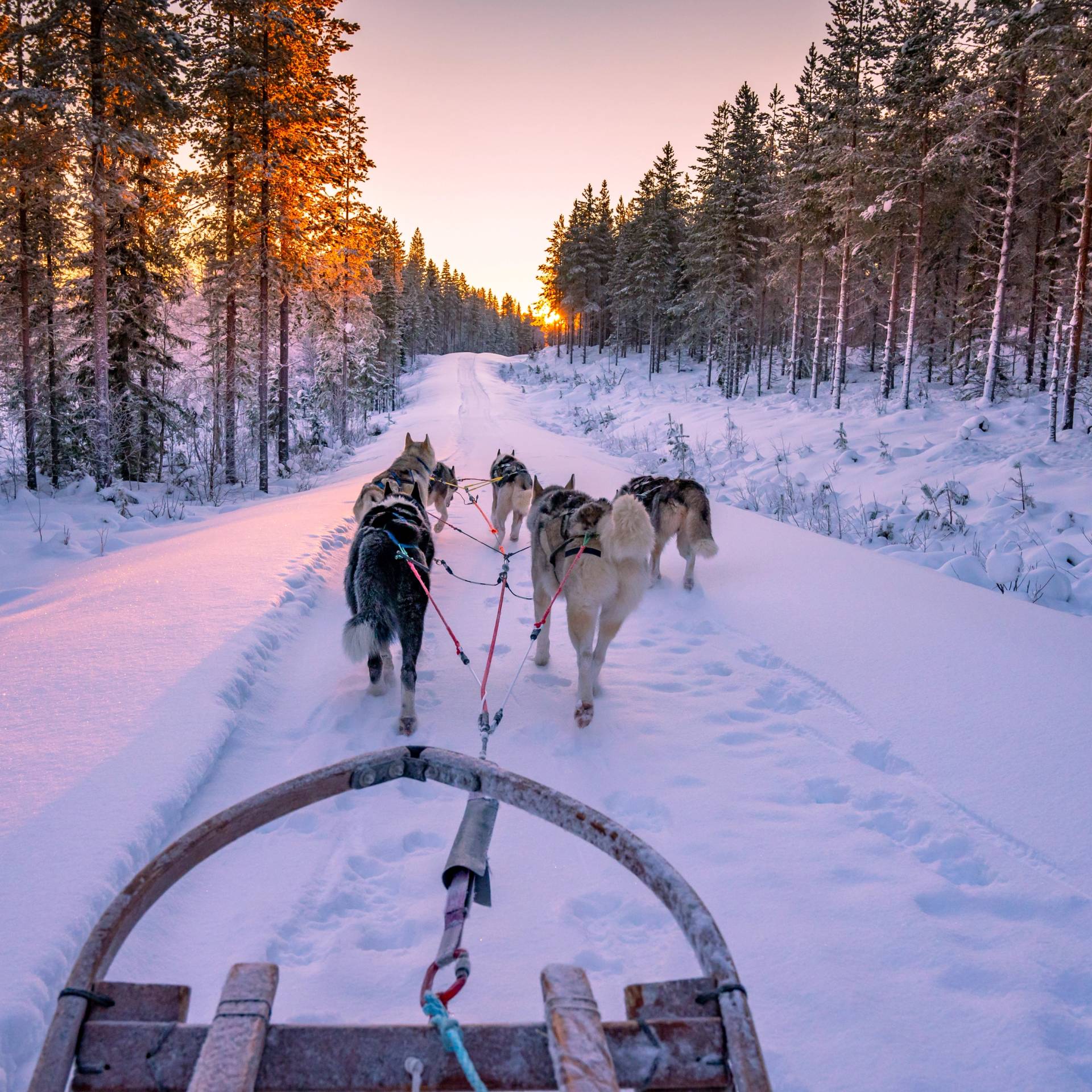 husky finlandia