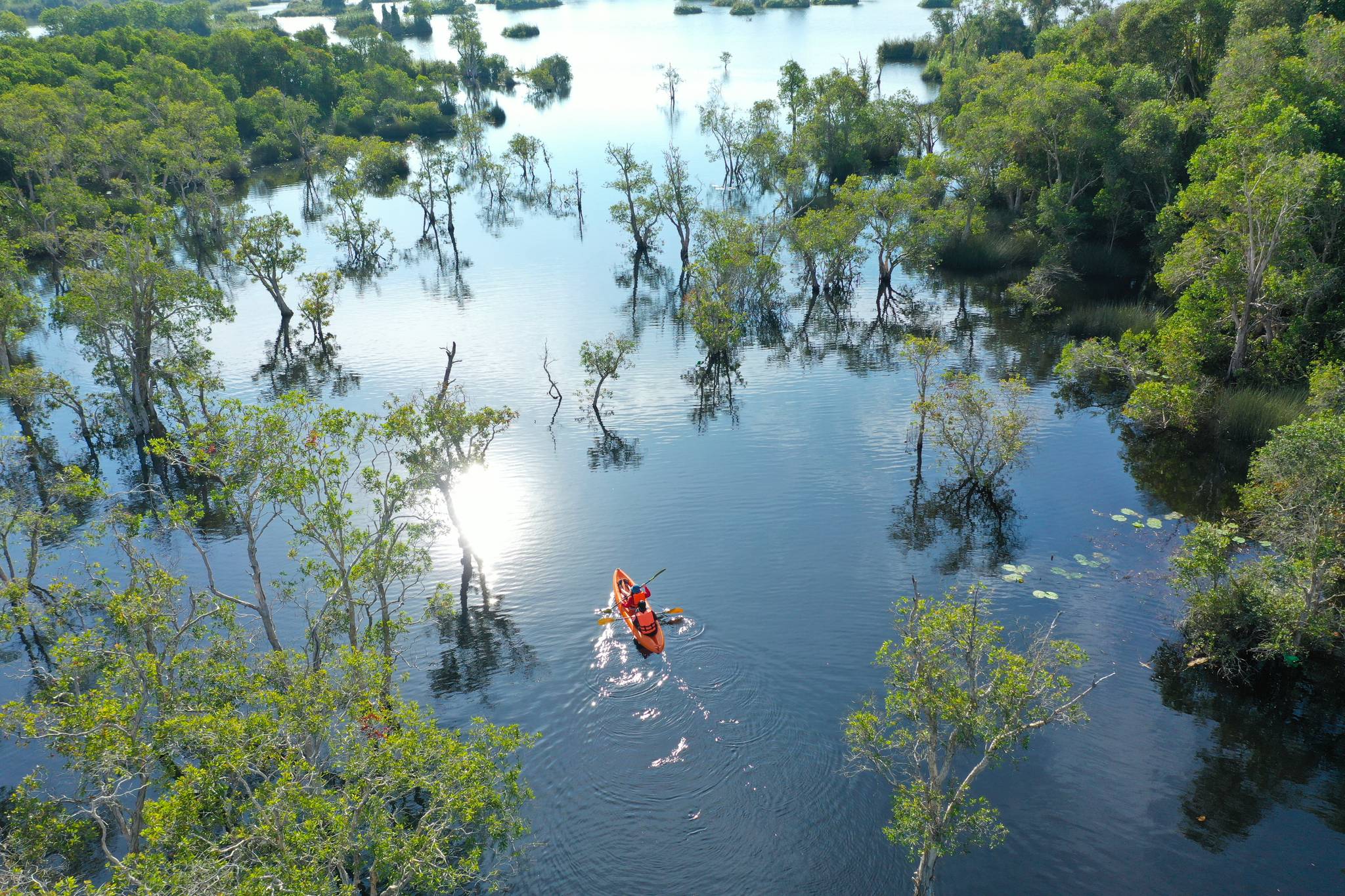 canoa e foresta thailandia