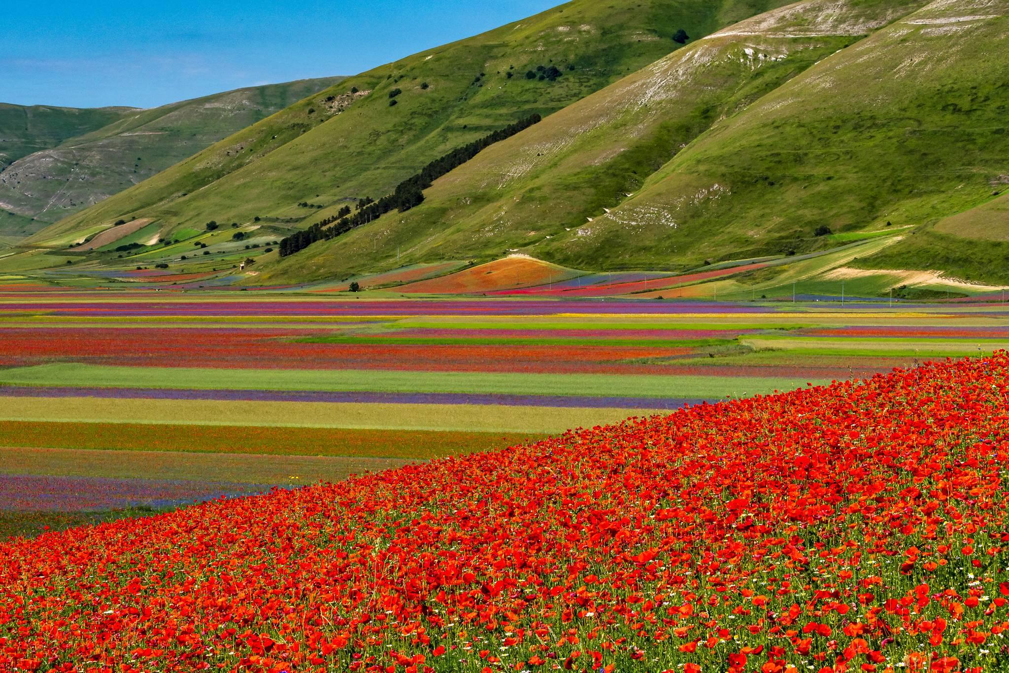 campo fiorito castelluccio di norcia