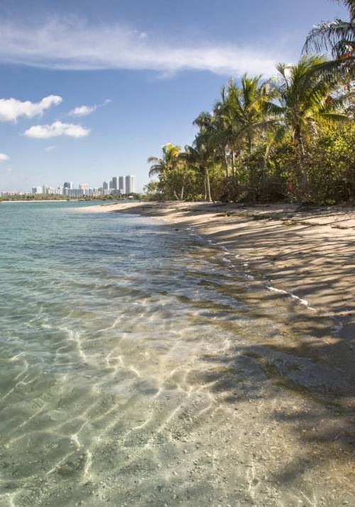 biscayne bay