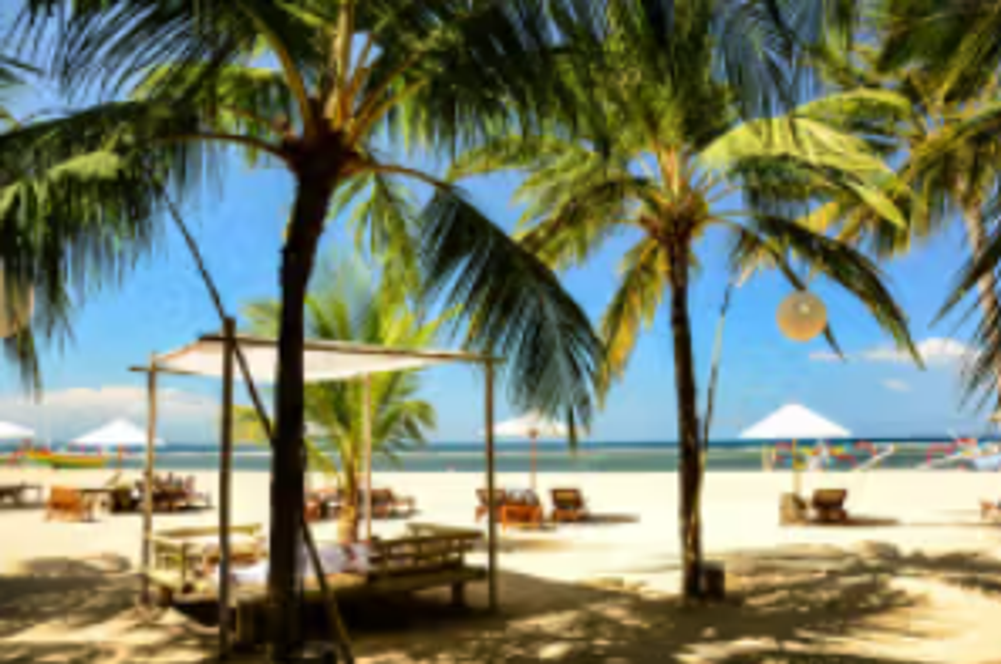 spiaggia con palme