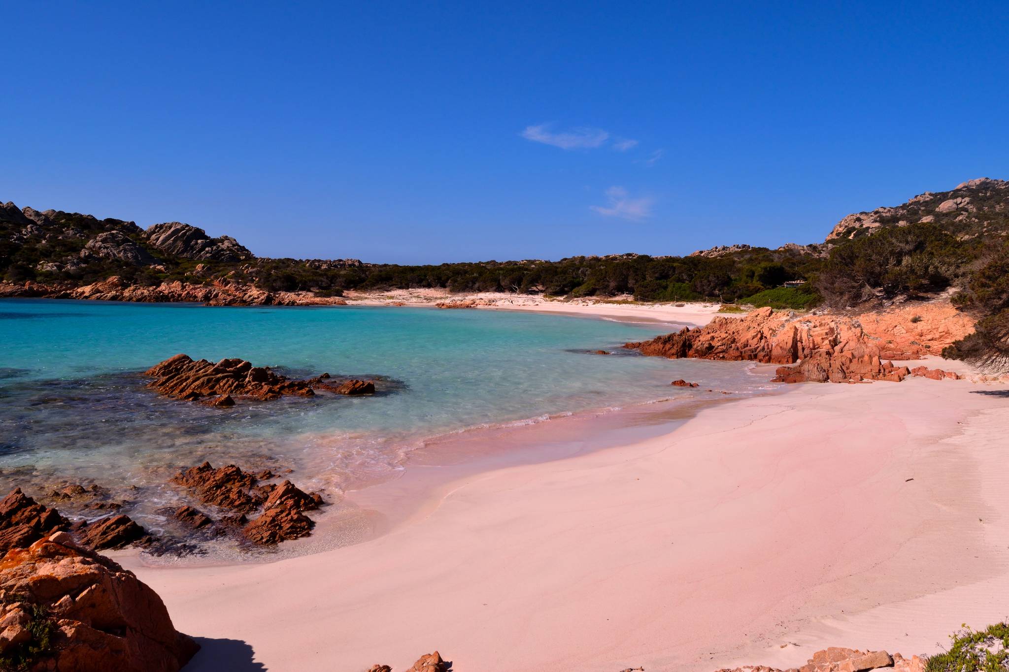 spiaggia rosa di budelli