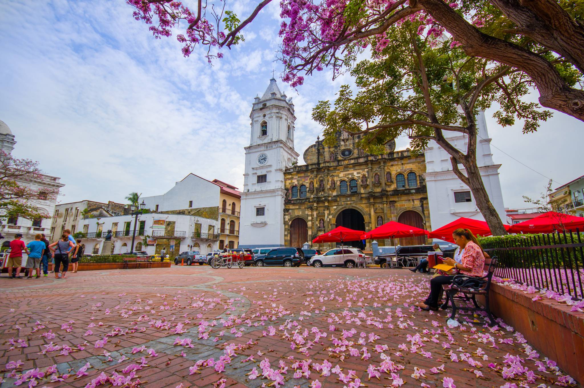 piazza panama city con fiori