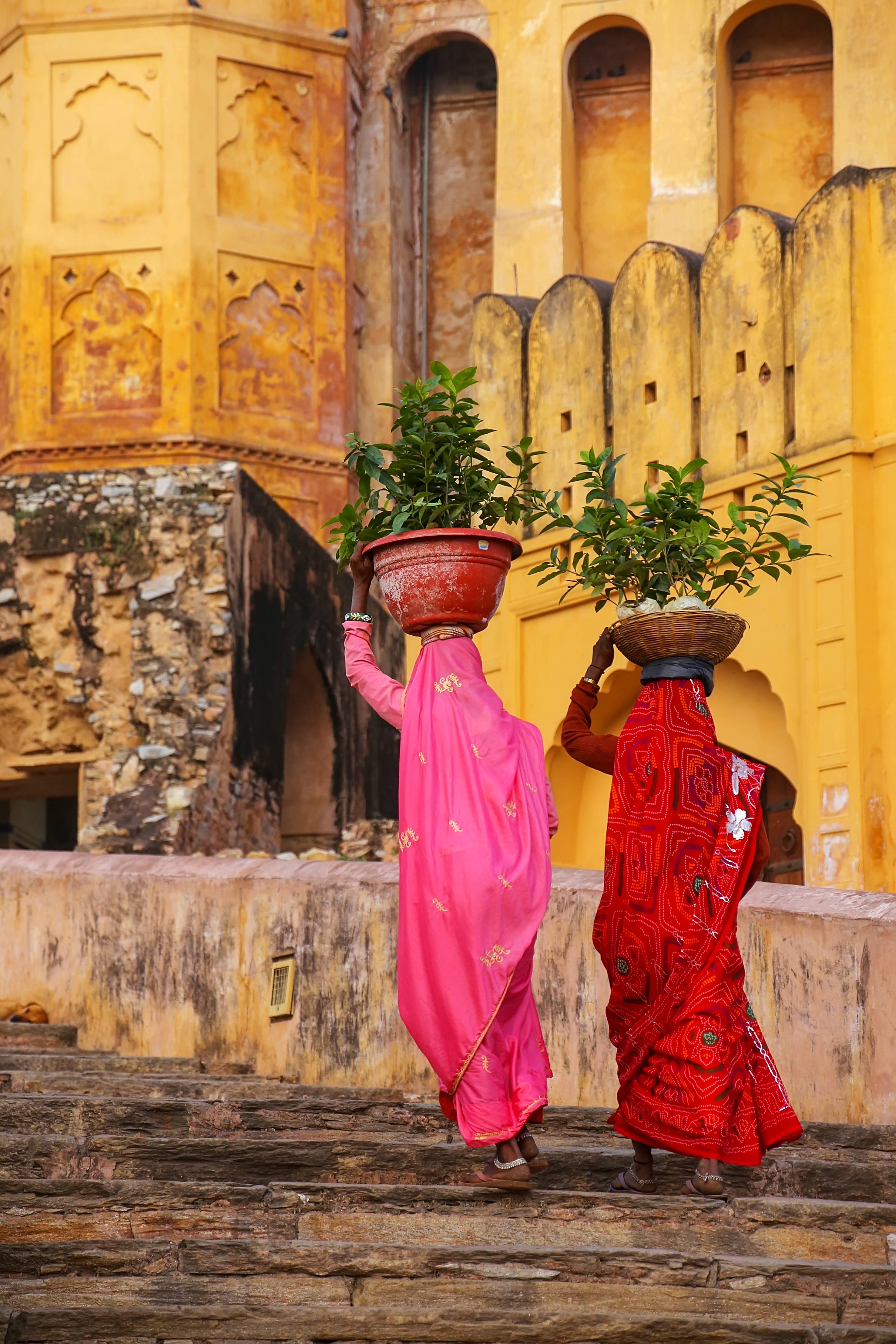 donne con cesto in testa a jaipur