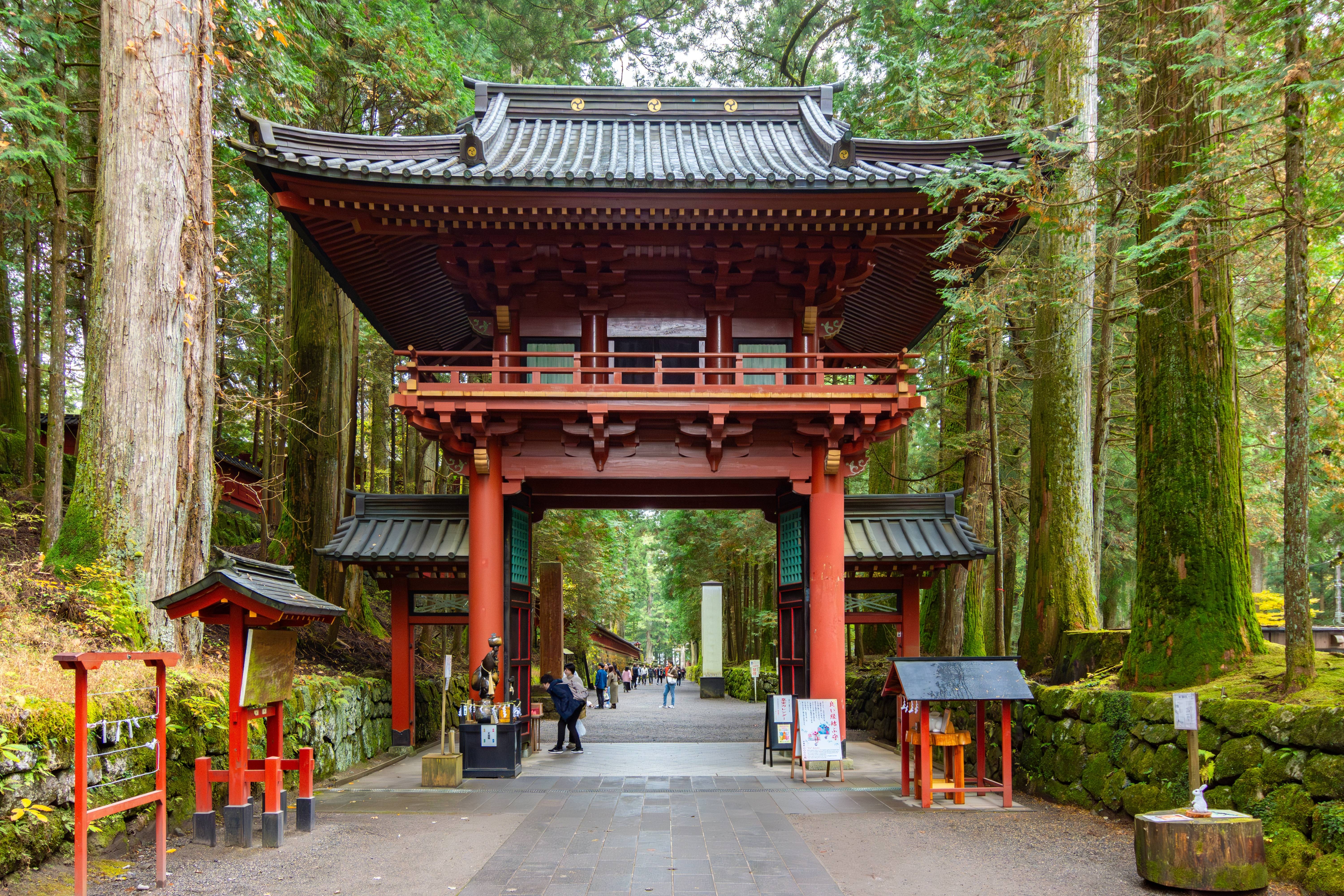 nikko