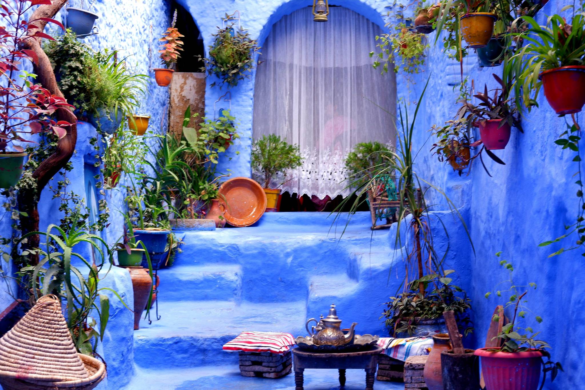 blue houses