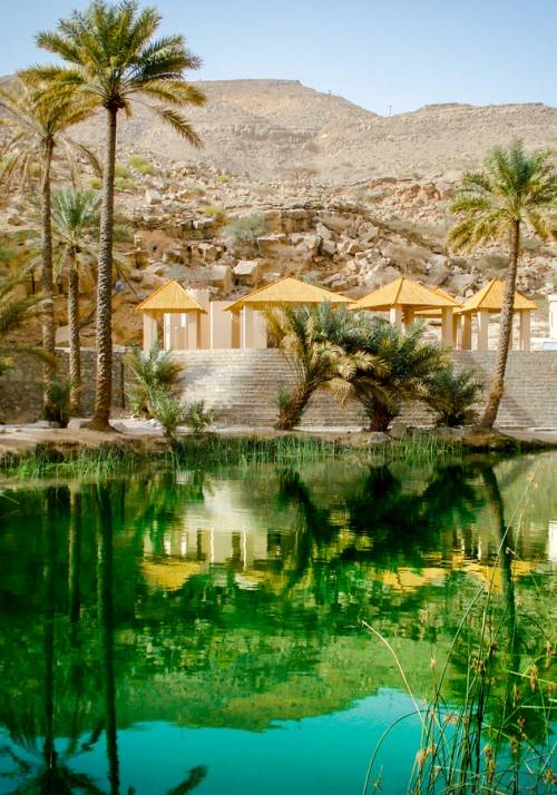 oasi nel deserto in oman