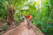 tour in bicicletta nella giungla