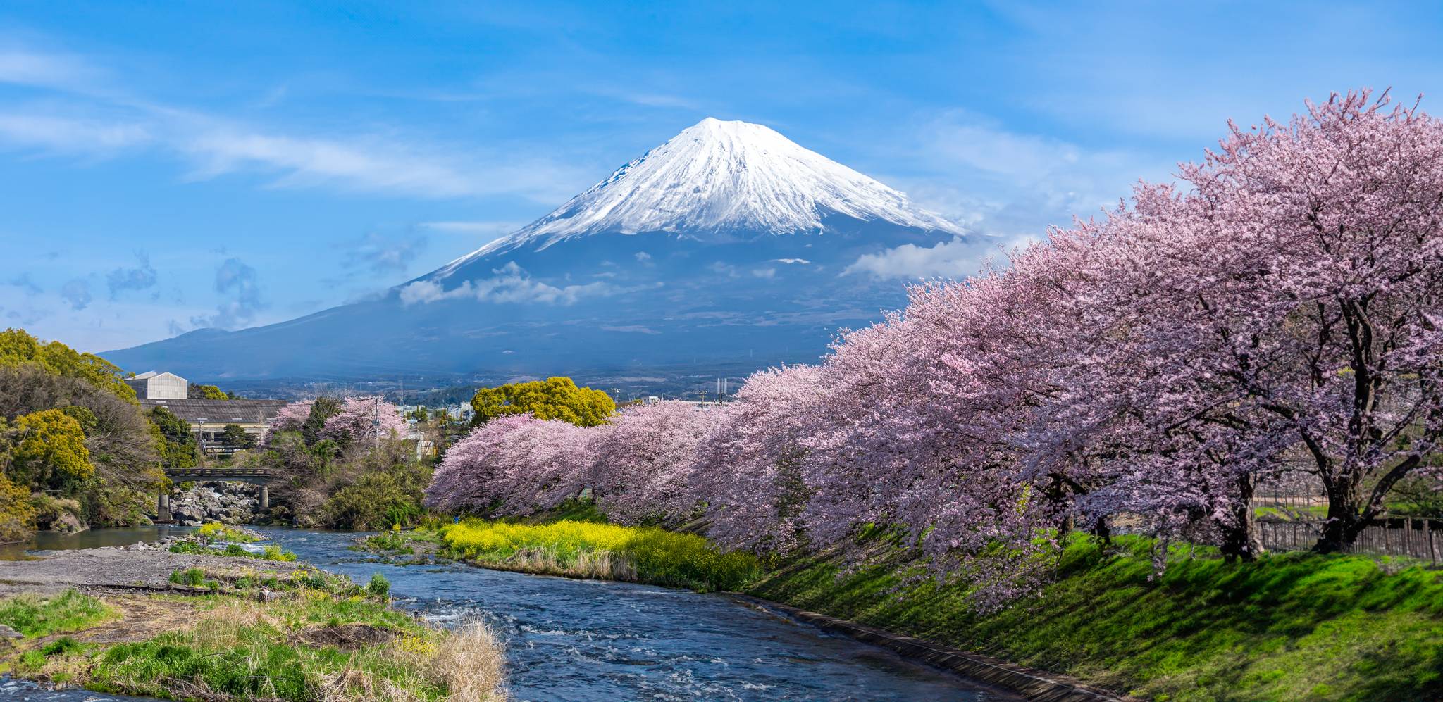 monte fuji