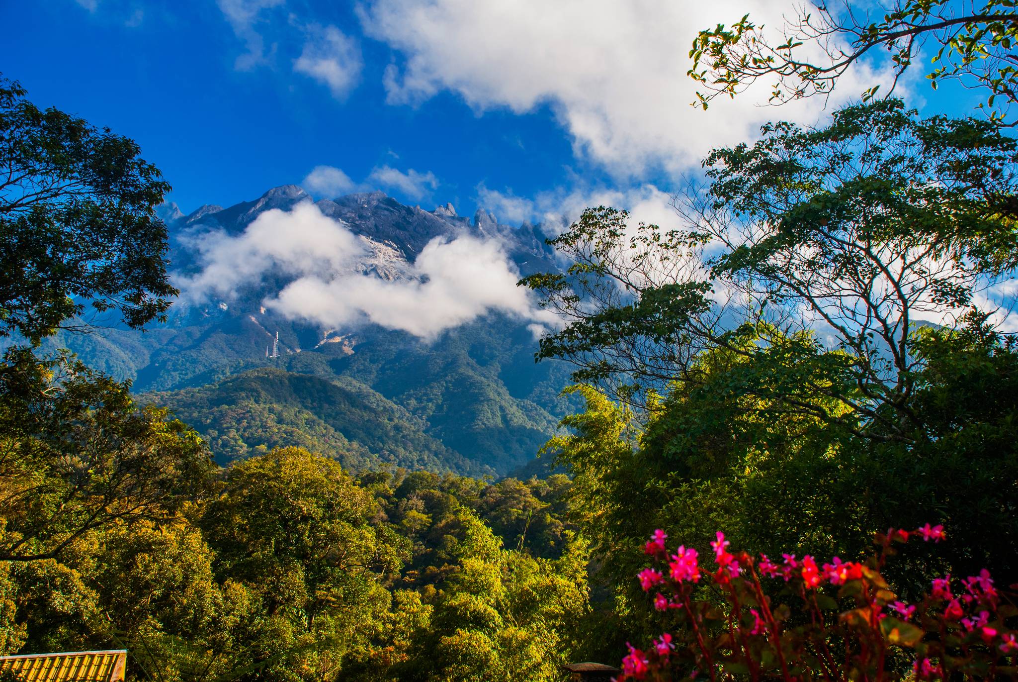 kinabalu park