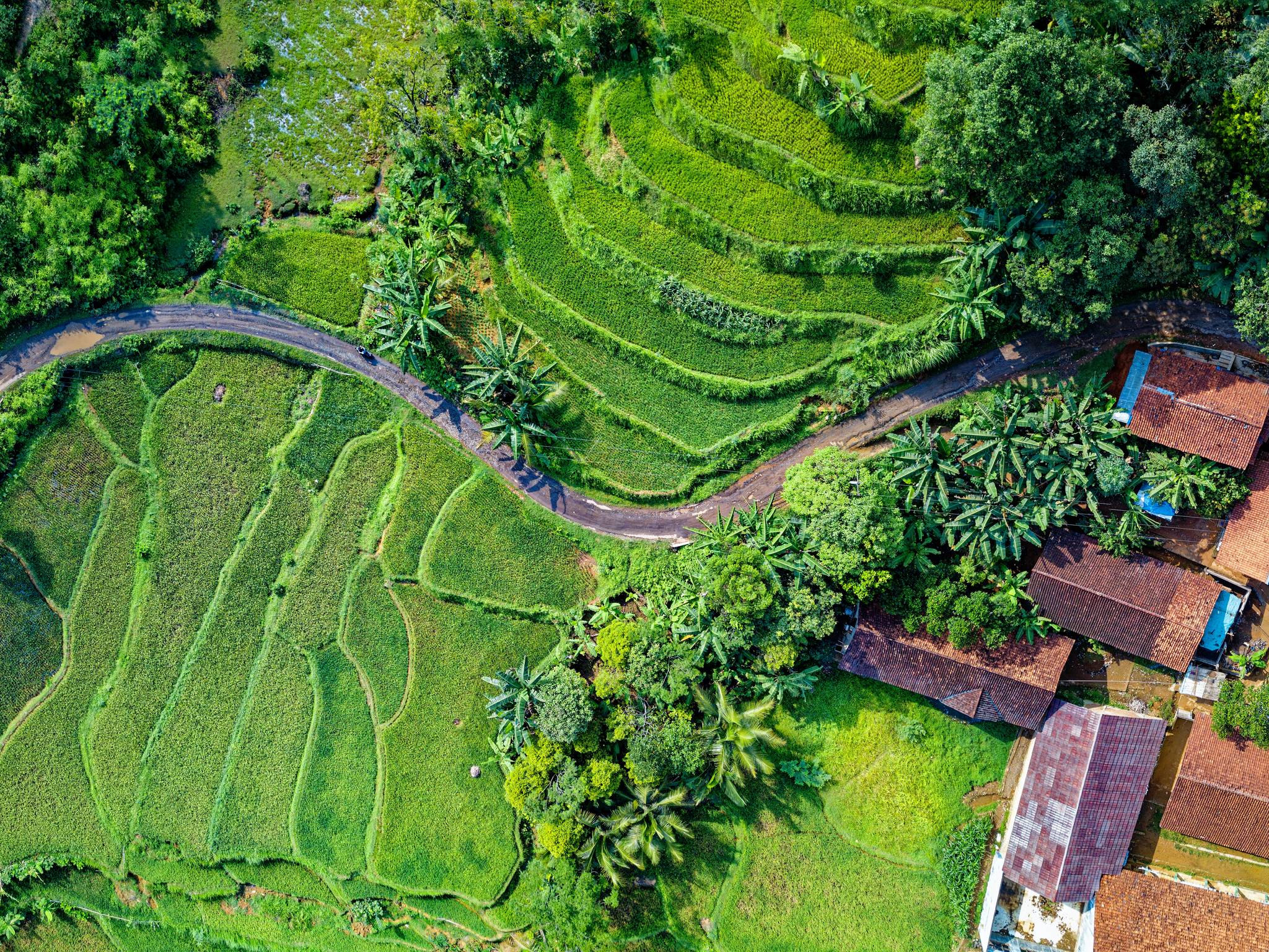 Viaggio da Jakarta ad Ubud cover