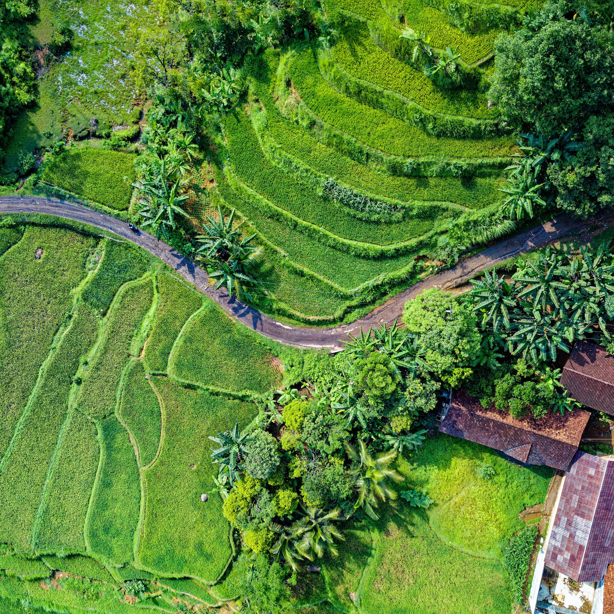 Viaggio da Jakarta ad Ubud