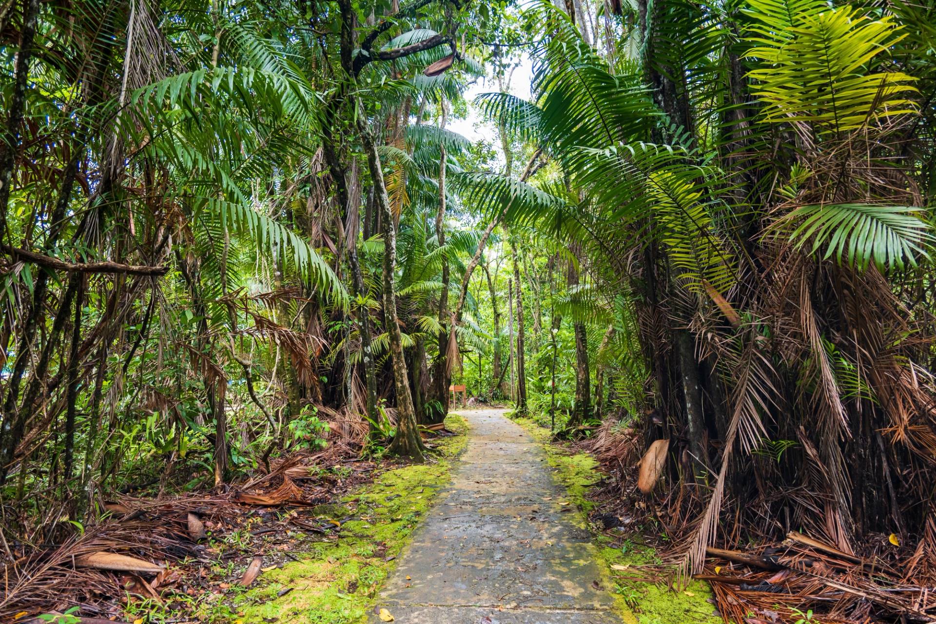 Bako National Park walk