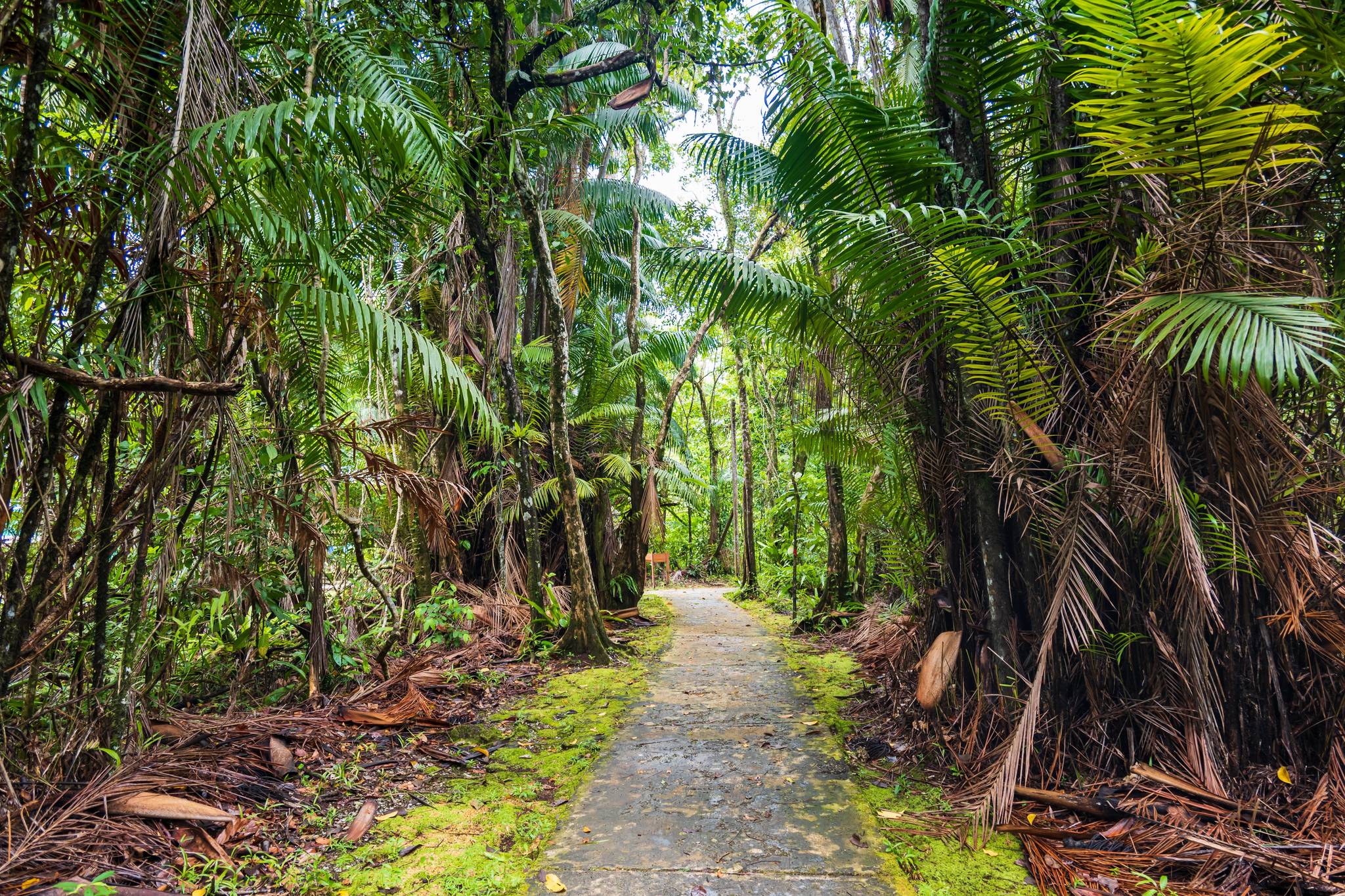 passeggiata parco nazionale bako 