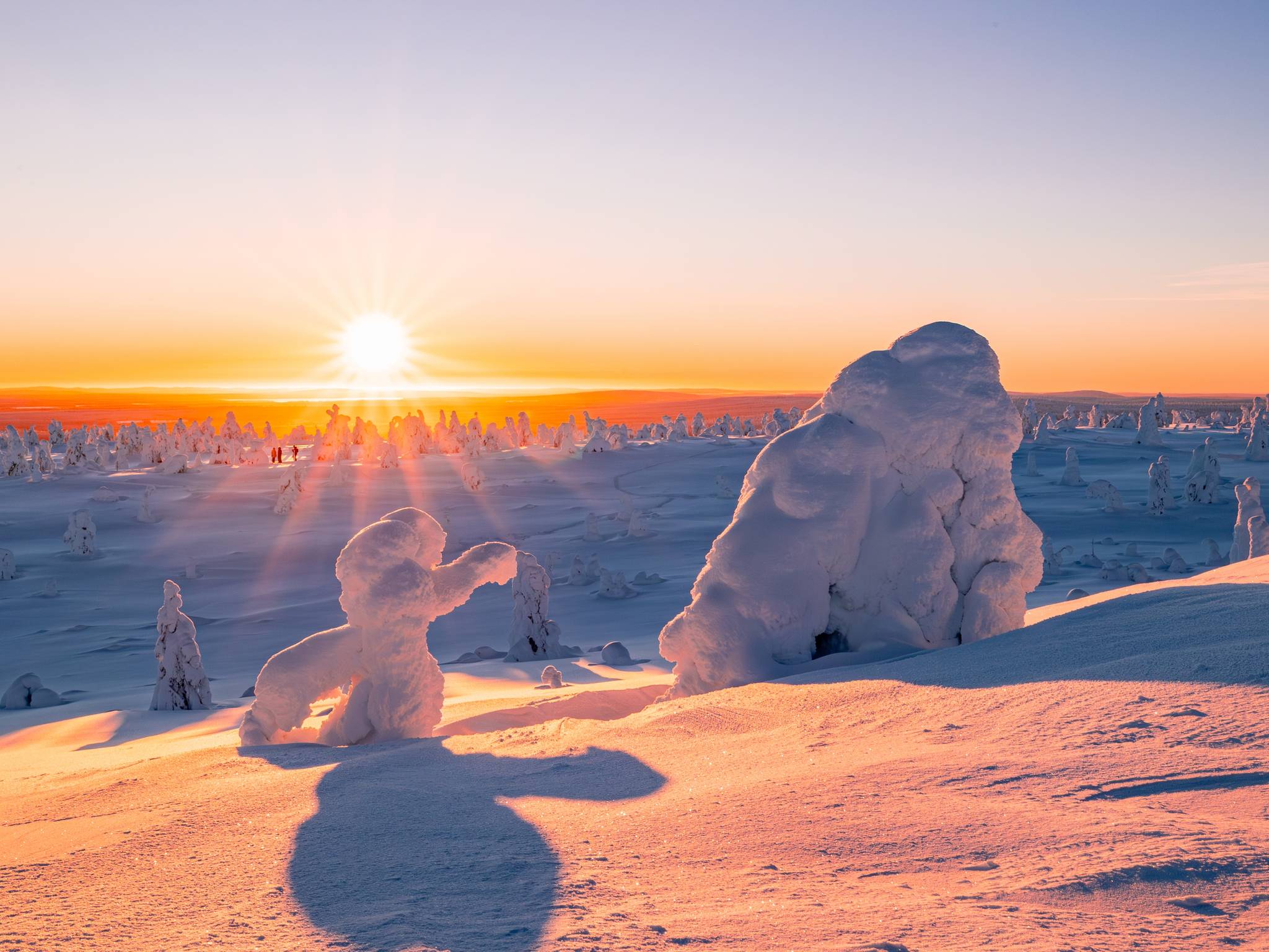 Neve e luci boreali in Finlandia cover