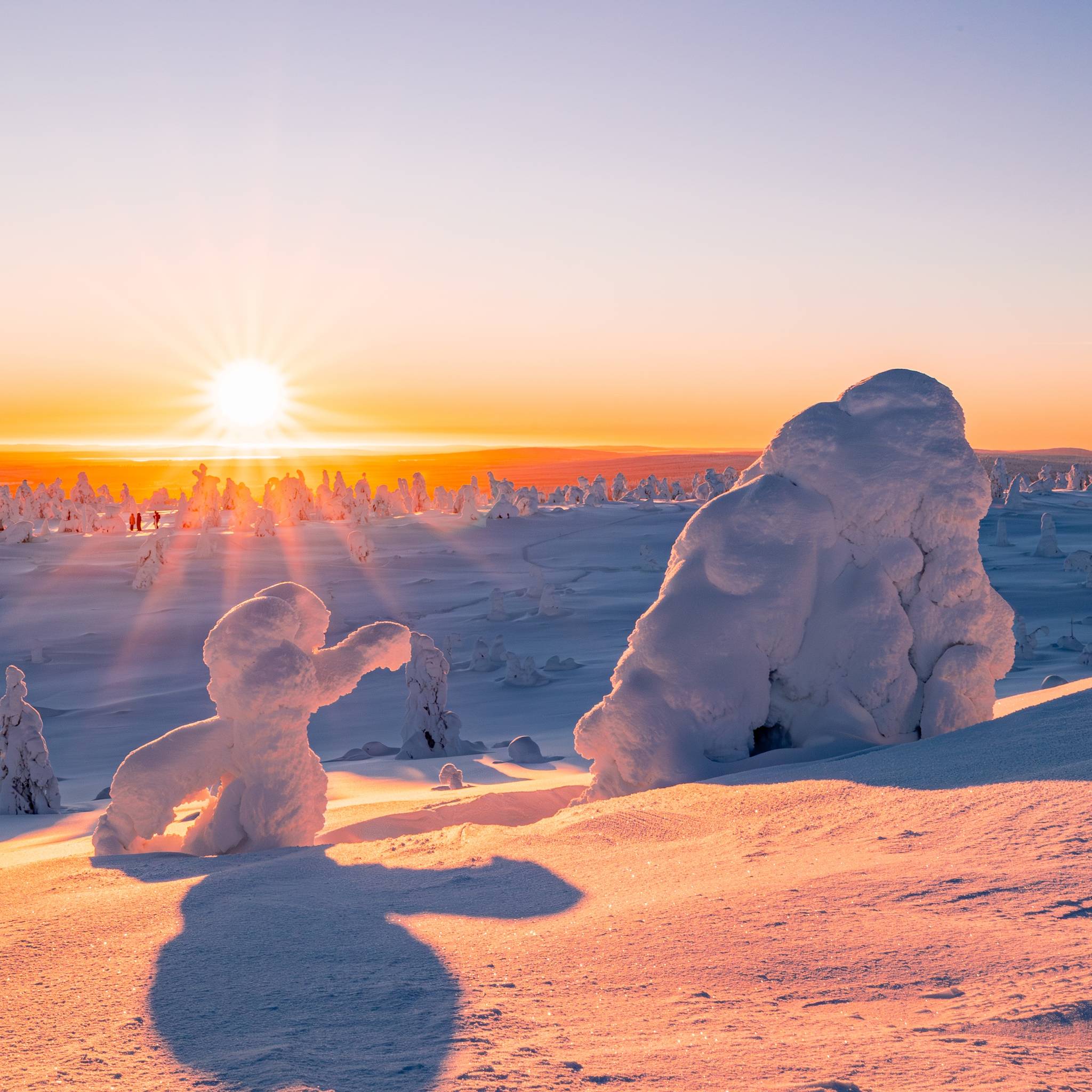 Neve e luci boreali in Finlandia