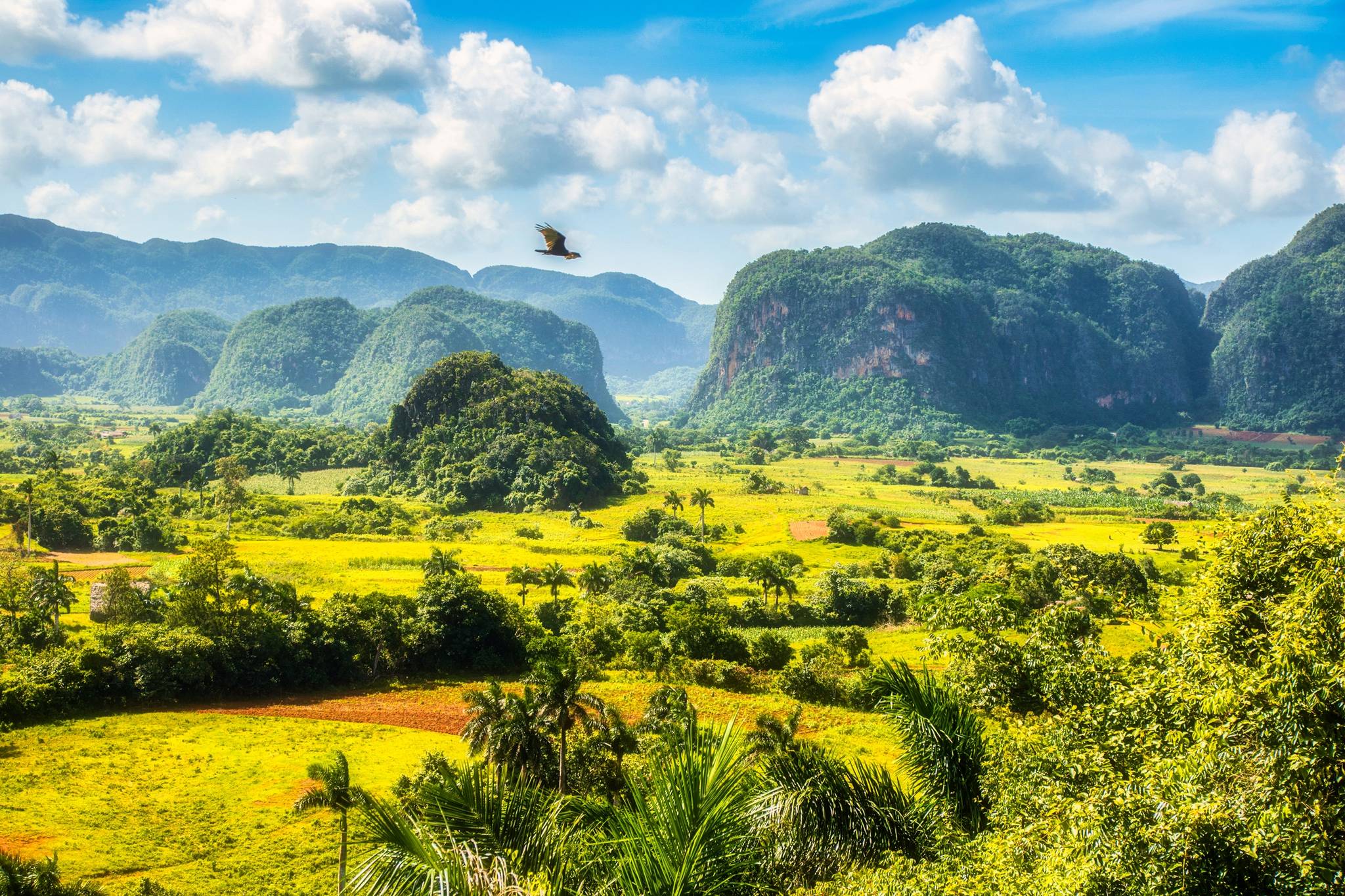 panorama della campagna di vinales