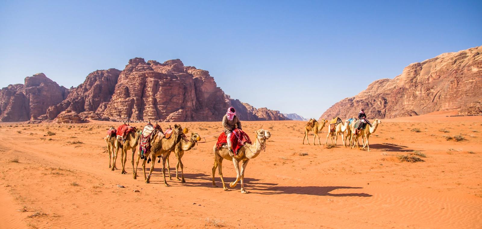 beduini a bordo di cammelli nel deserto del wadi rum in giordania