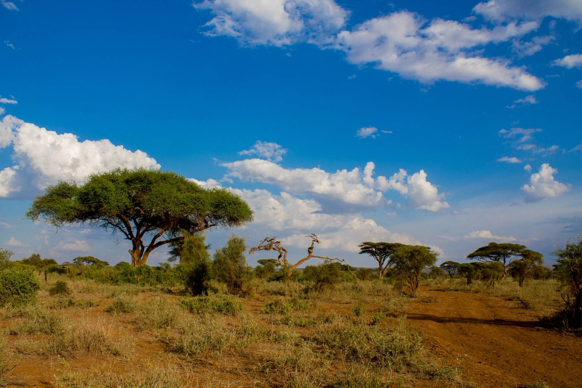 maze national park