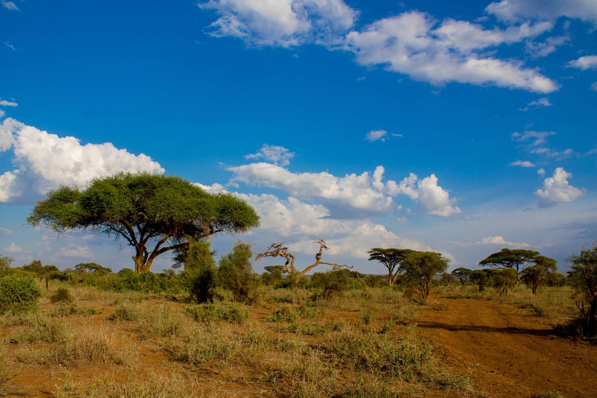 maze national park