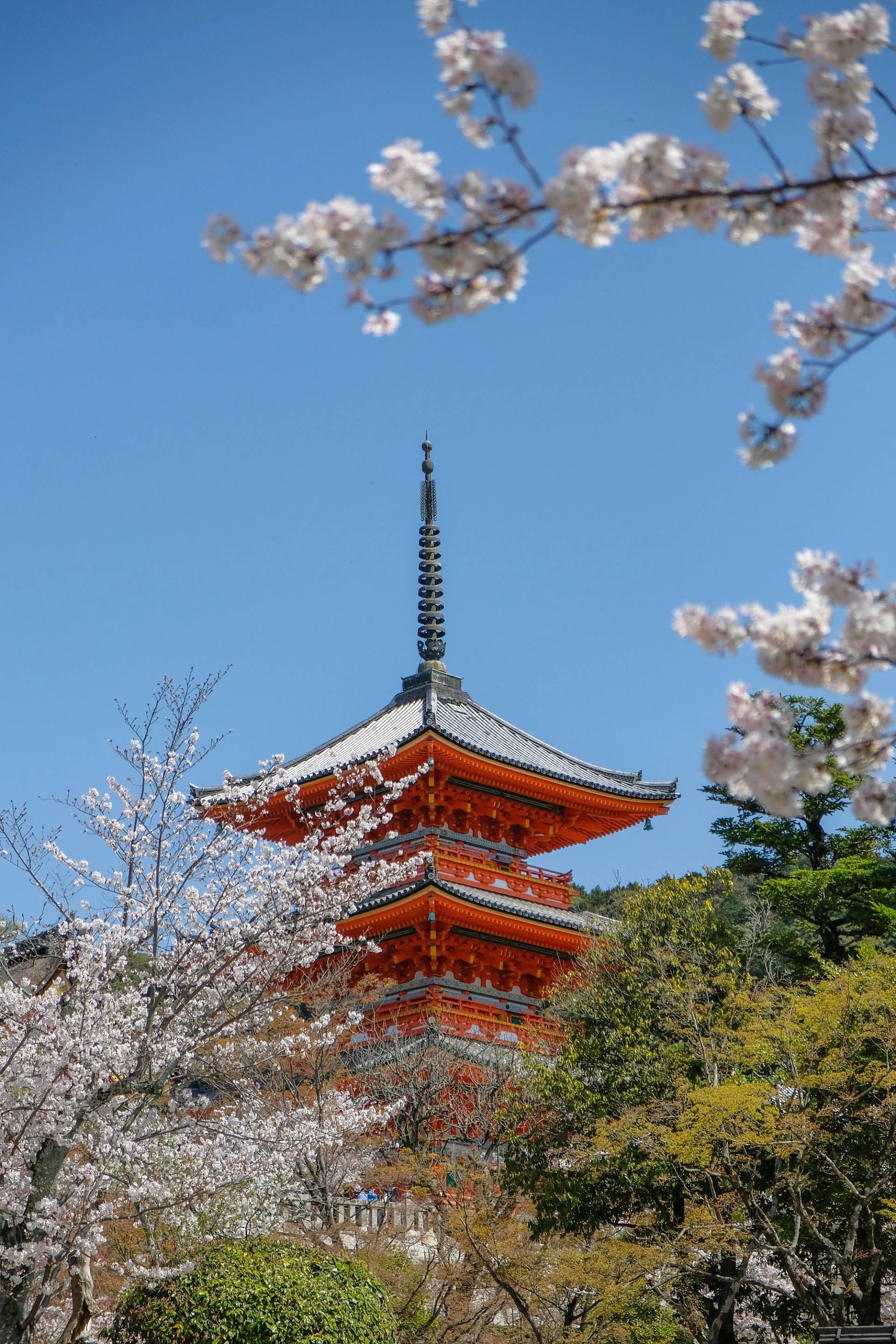temple in Kyoto