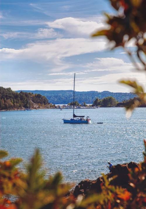 fiordo con barca a vela