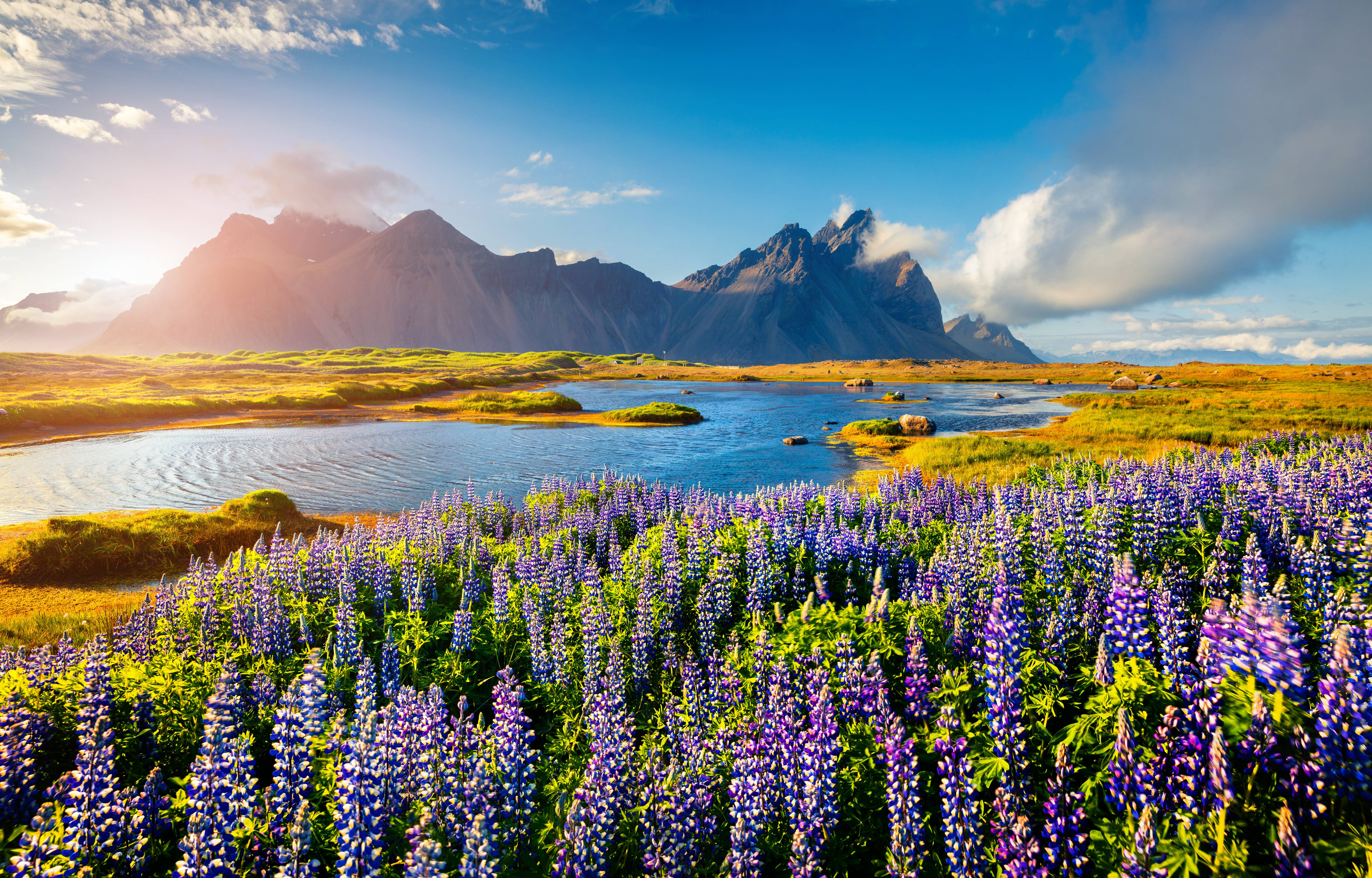 icelandic spring landscape