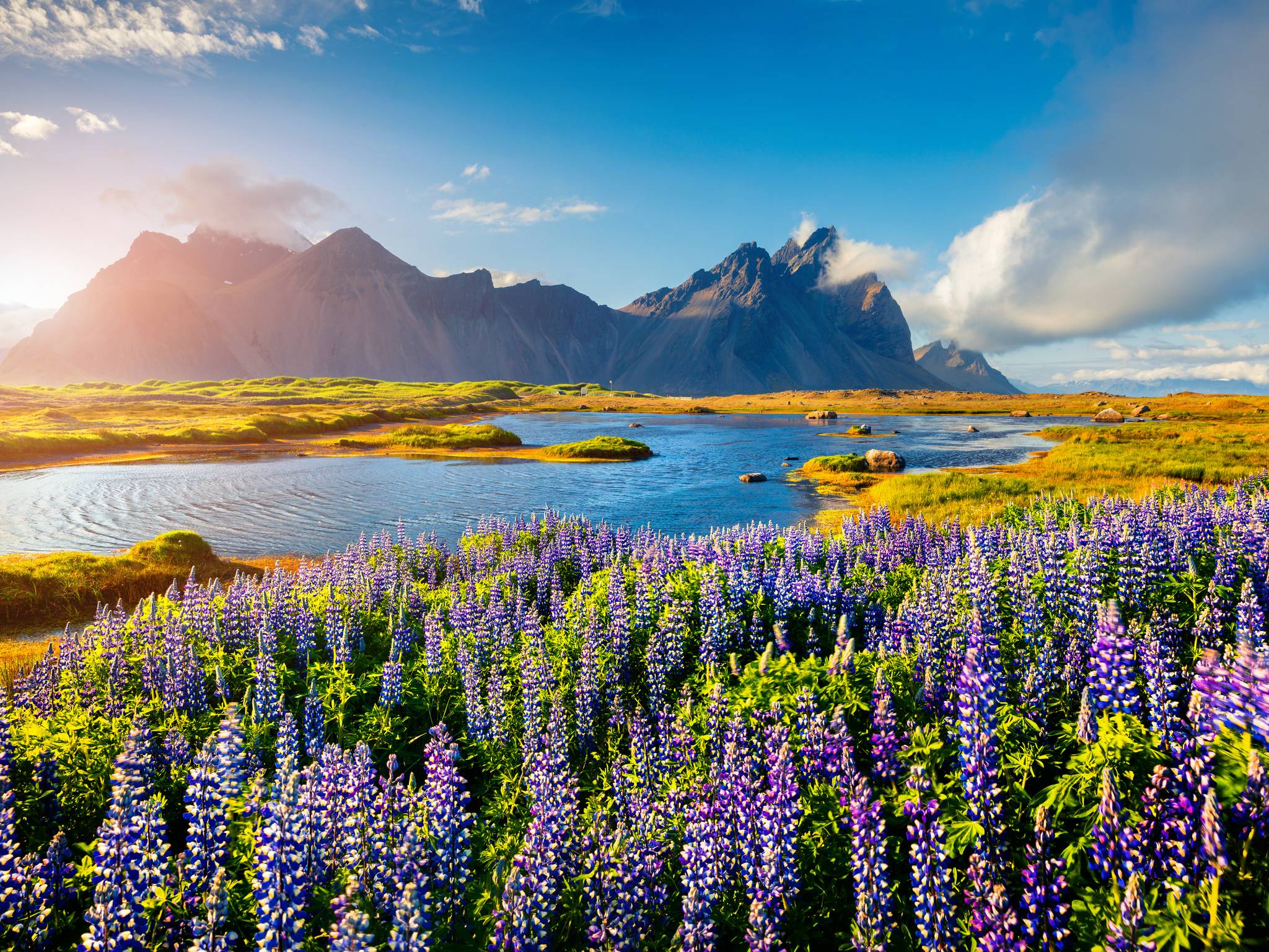 Unexpected Iceland: five days of pure wonder! cover