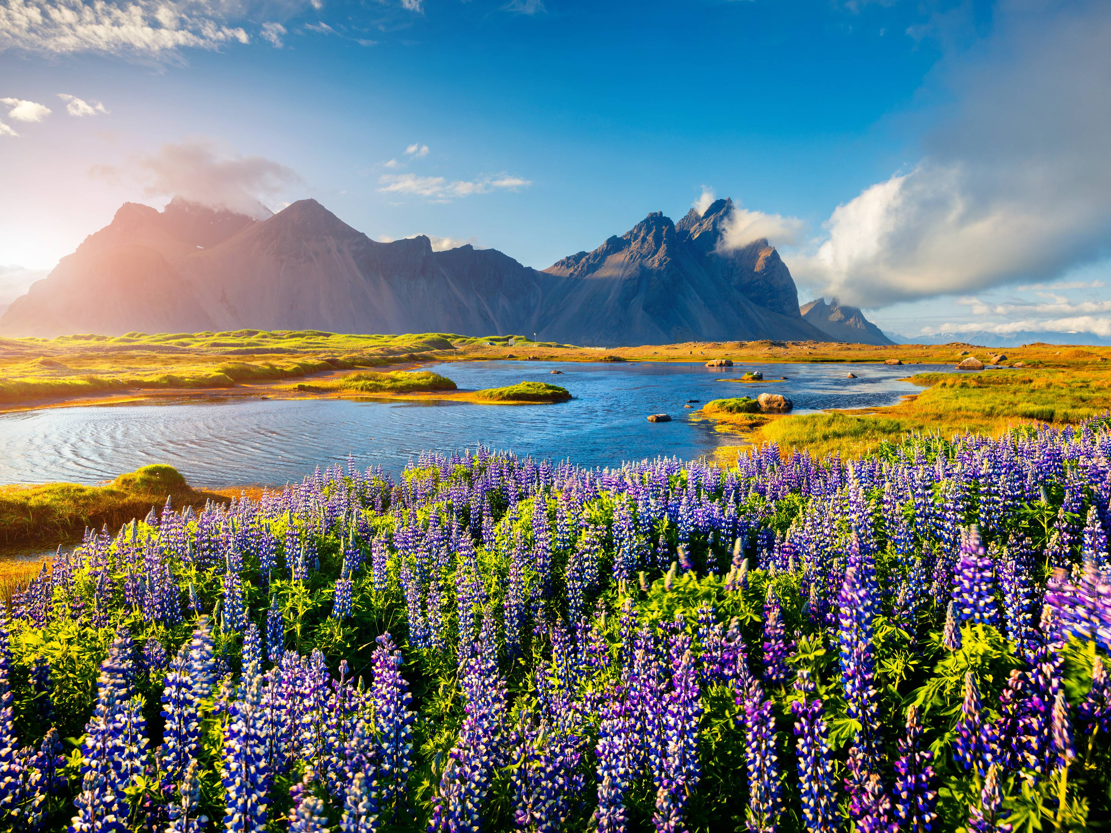 L’Islanda che non ti aspetti: cinque giorni di pura meraviglia! cover