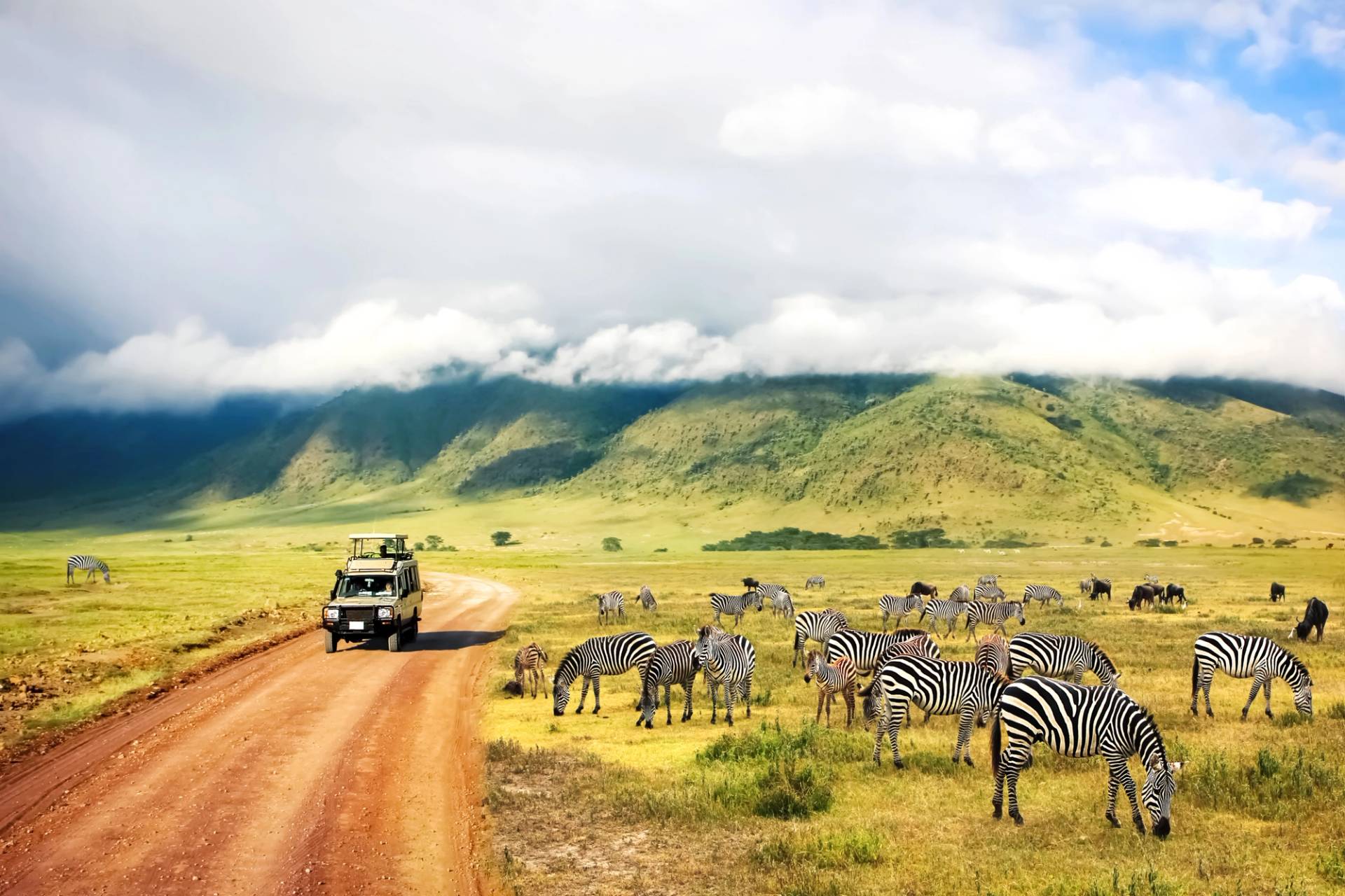 safari in tanzania