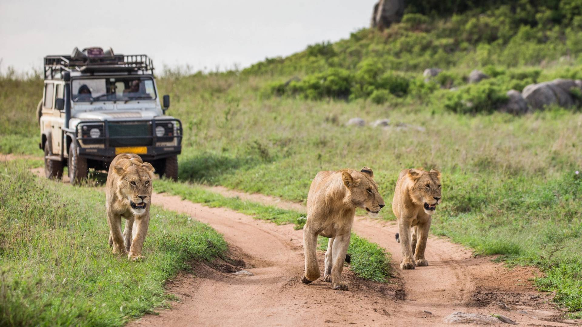 best safari in Africa