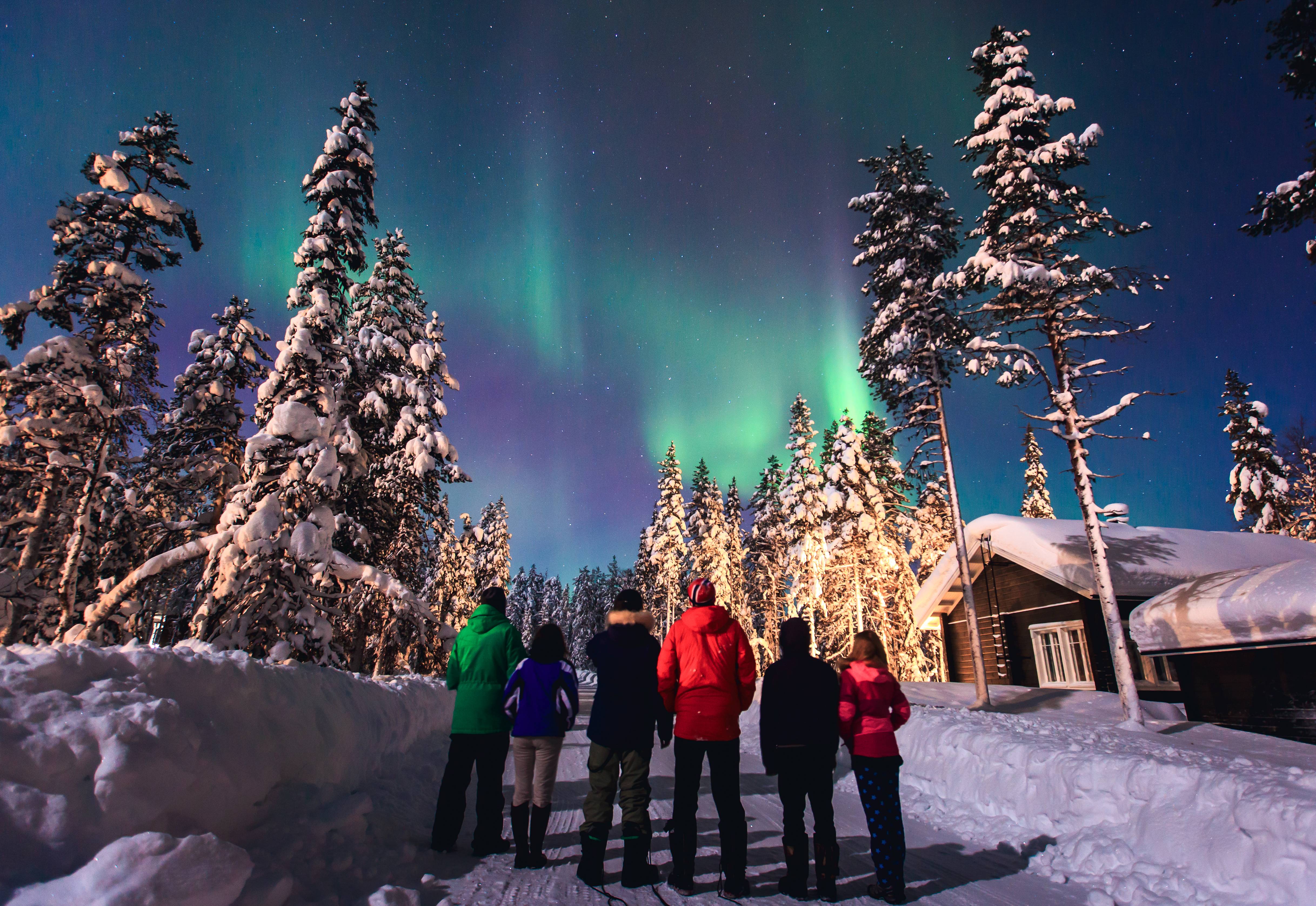 persone guardano l aurora boreale tra la neve in norvegia a tromso