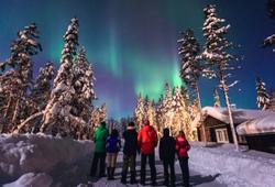 persone guardano l aurora boreale tra la neve in norvegia a tromso