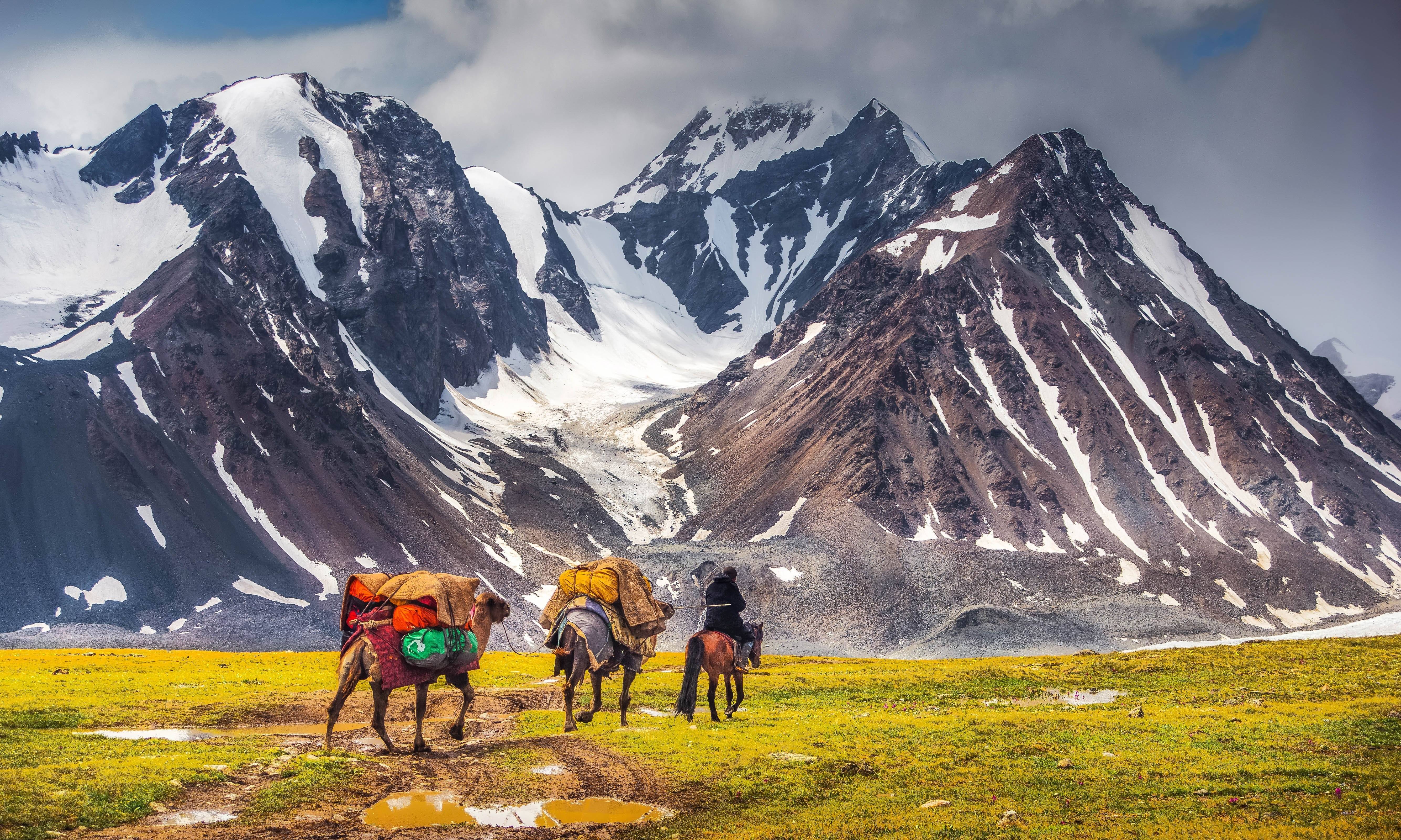 panorama della mongolia