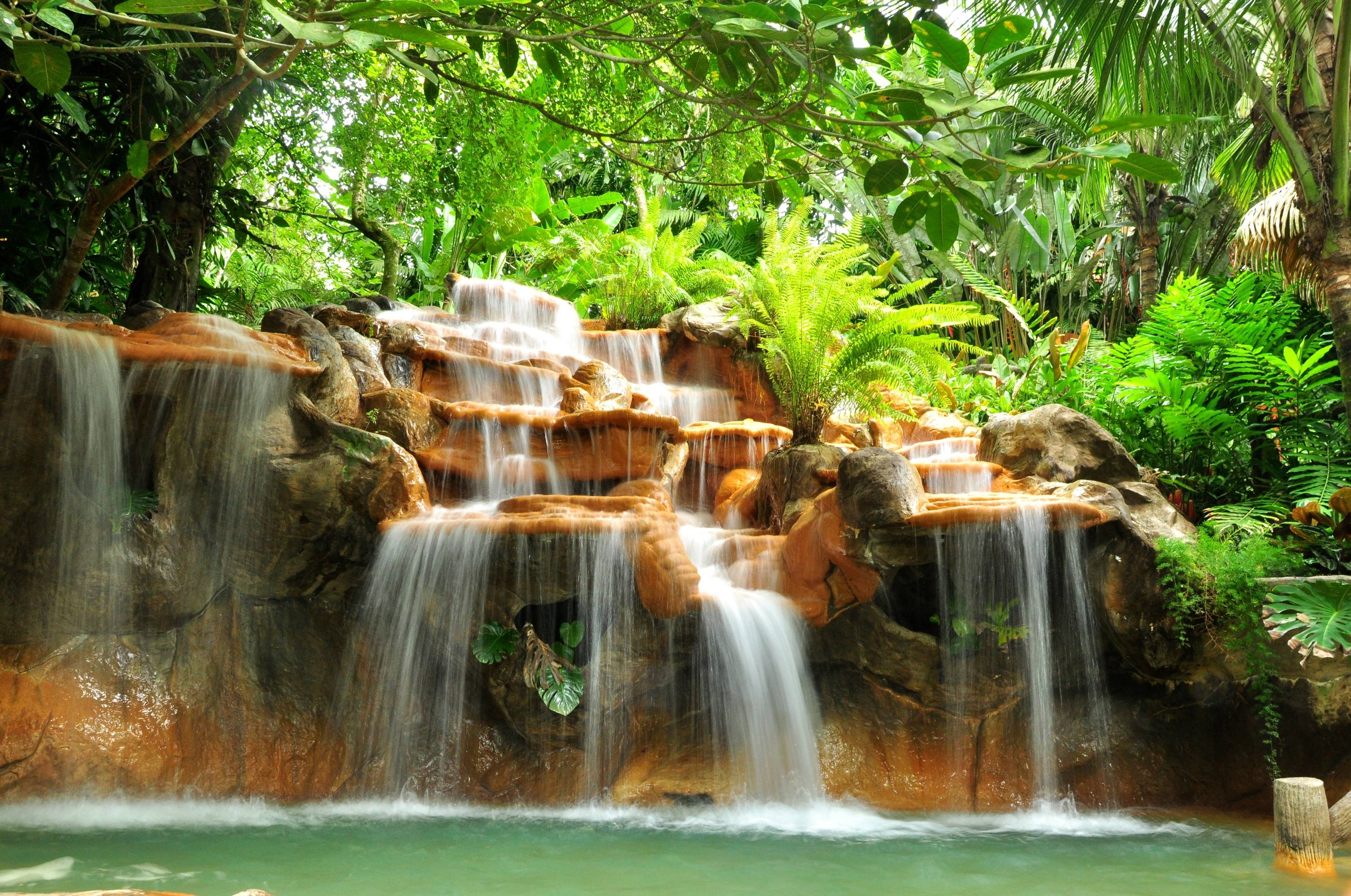 foresta costa rica