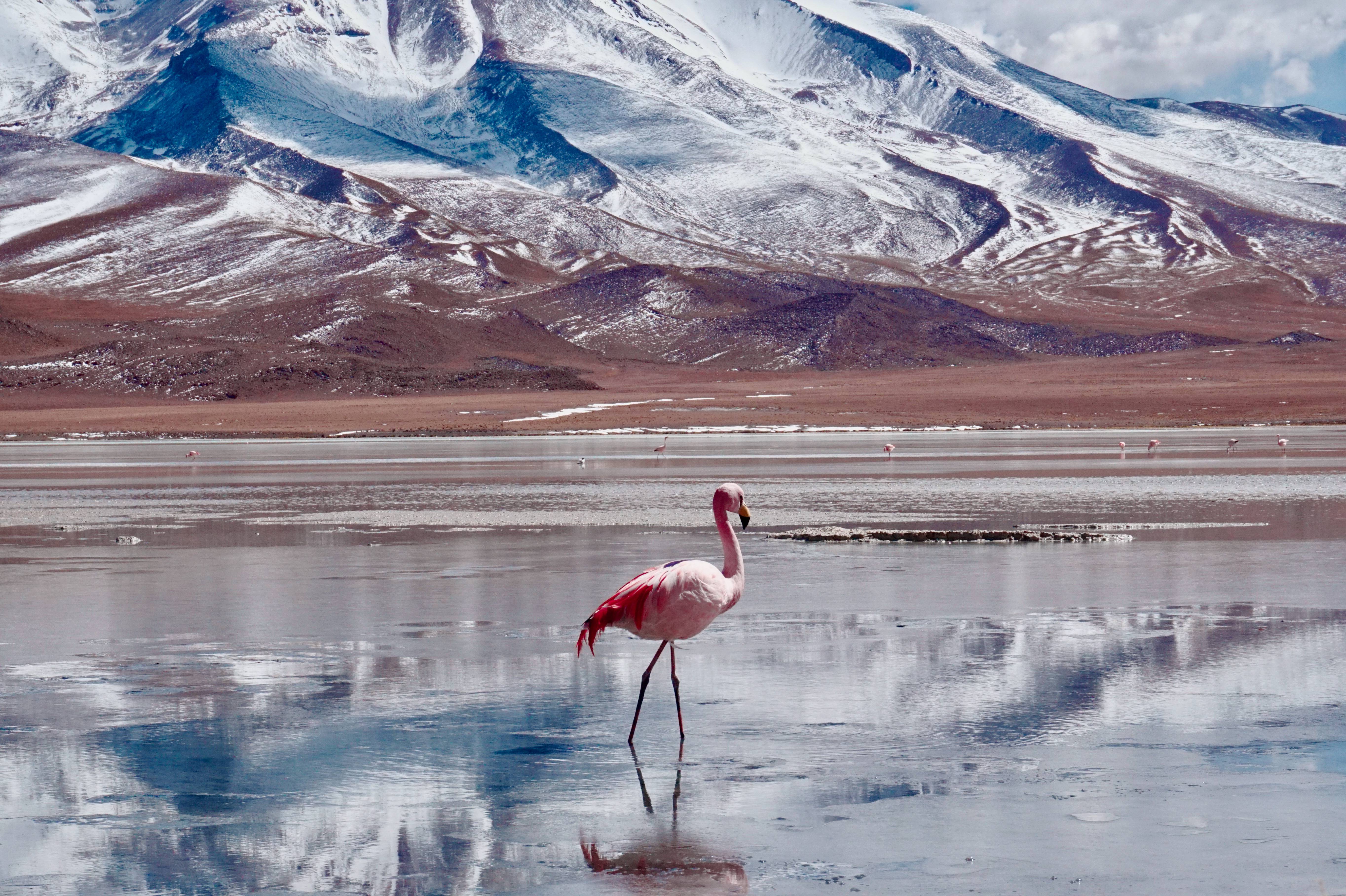 lago salato bolivia