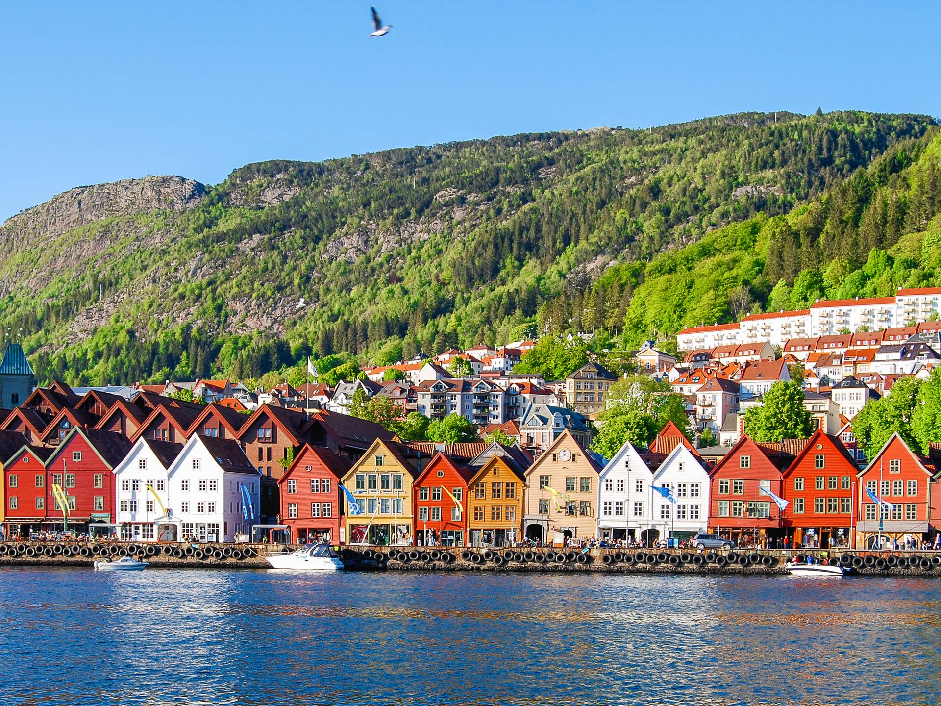Gran tour della Scandinavia cover