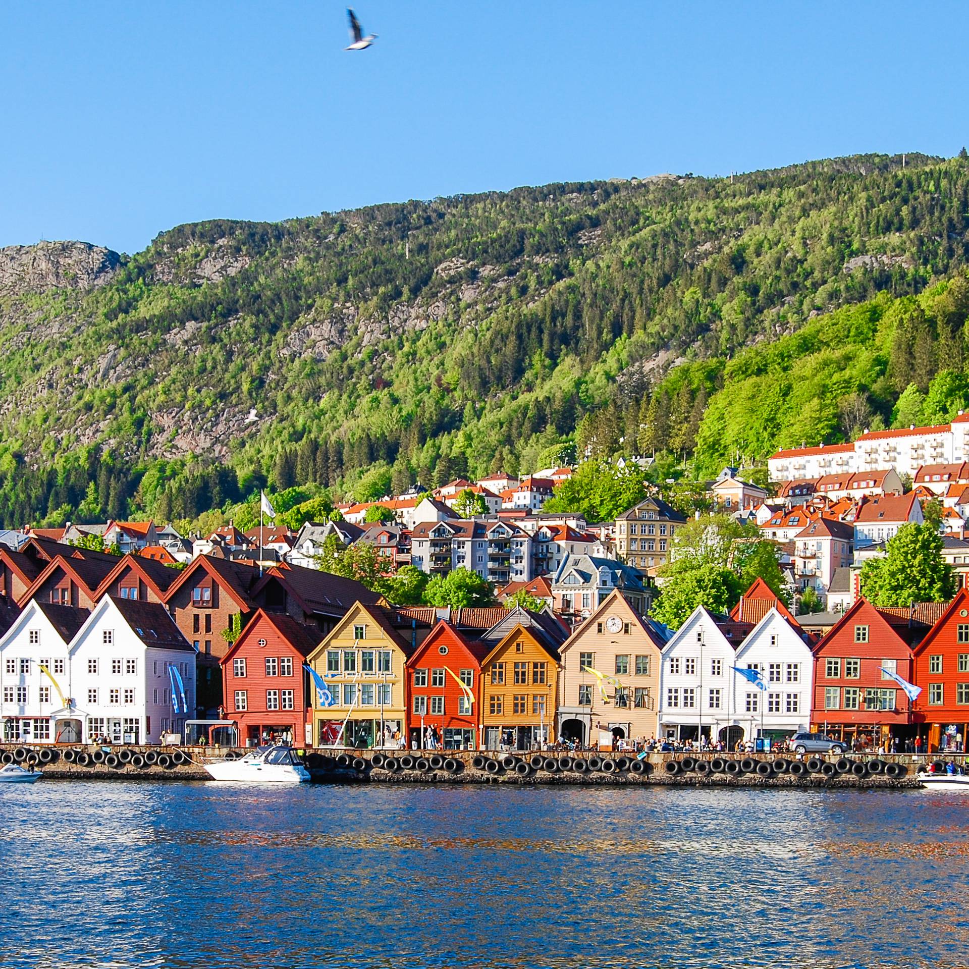 Gran tour della Scandinavia