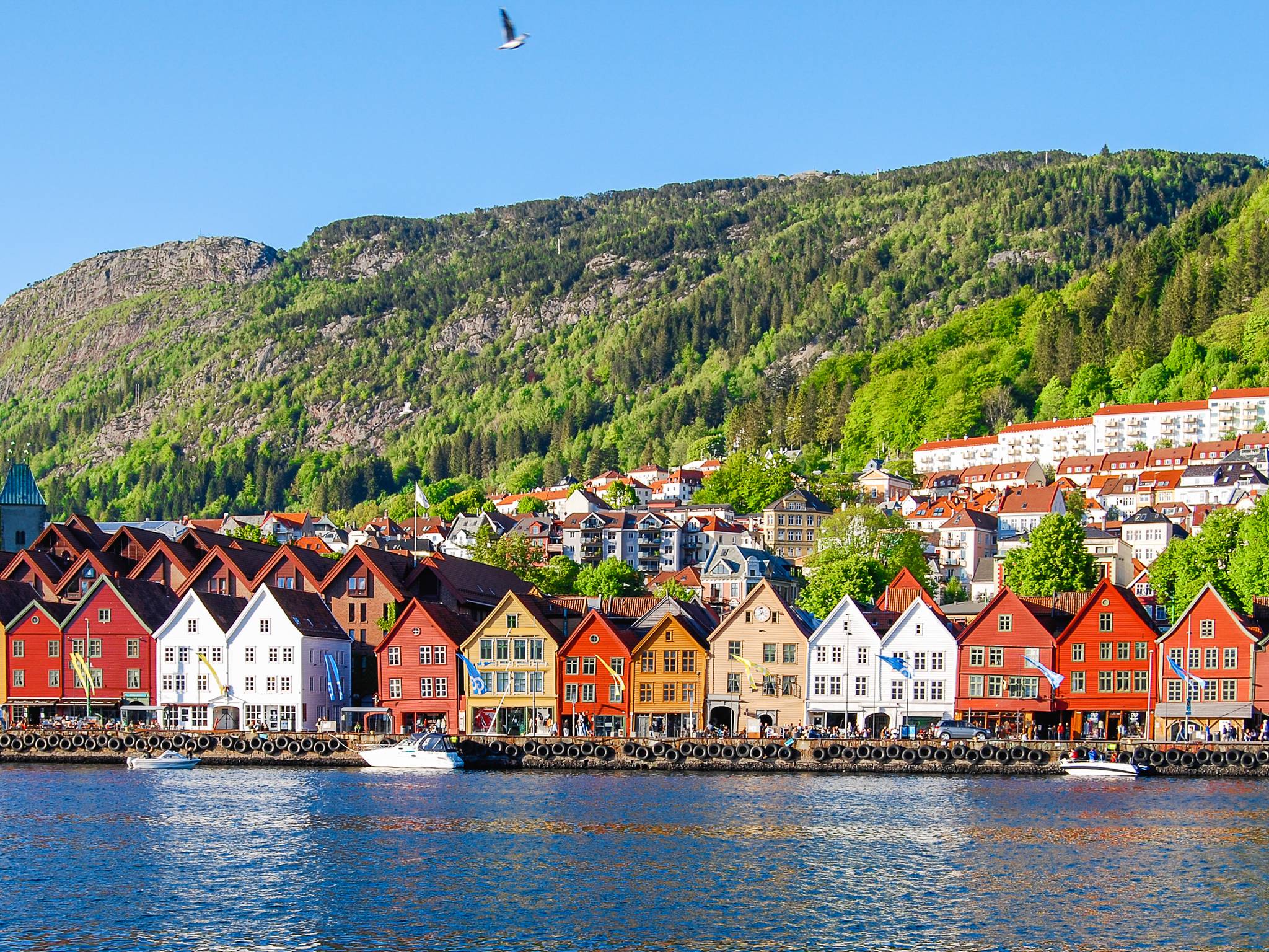 Gran tour della Scandinavia cover